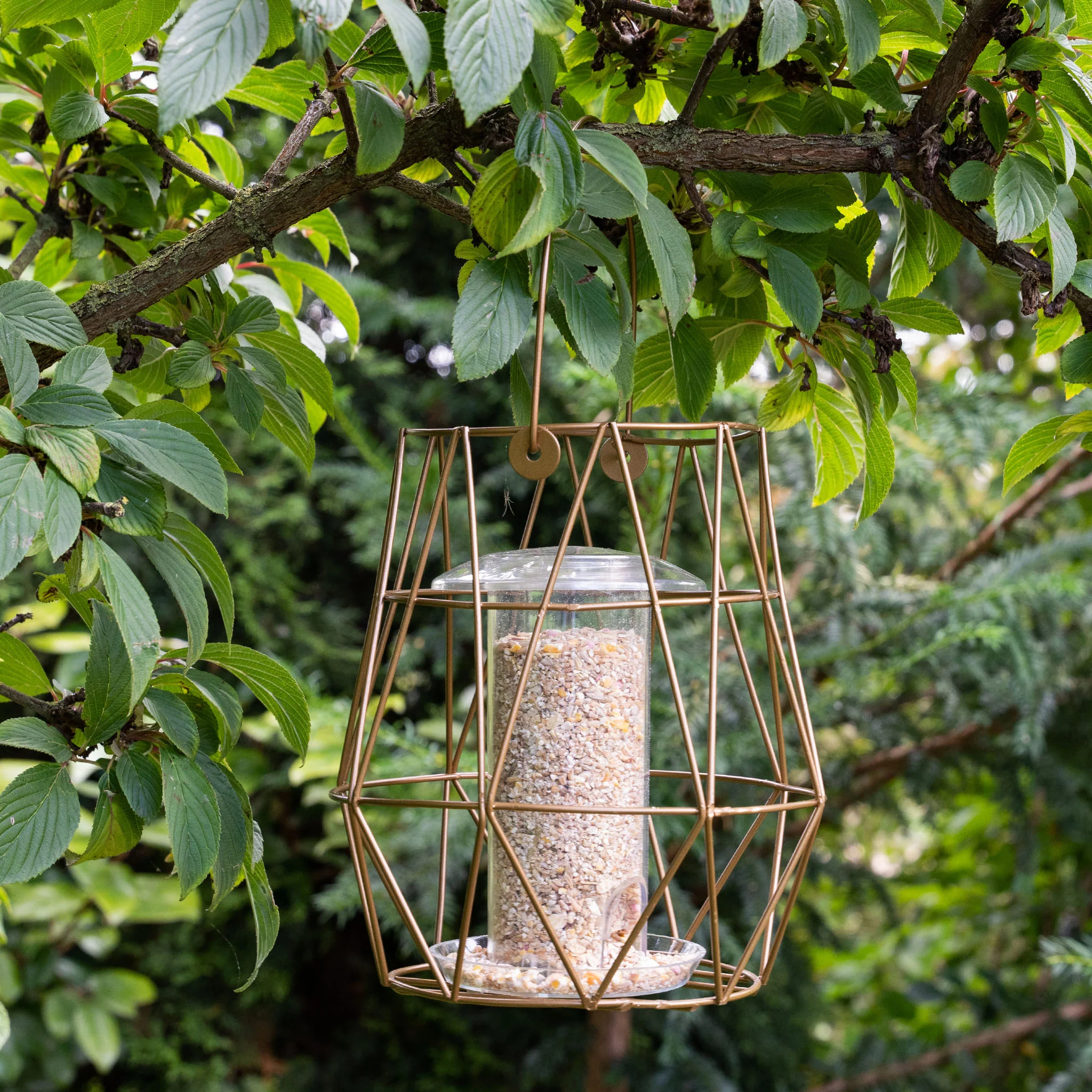 Gardman Aura Small Bird Feeder - Image 2