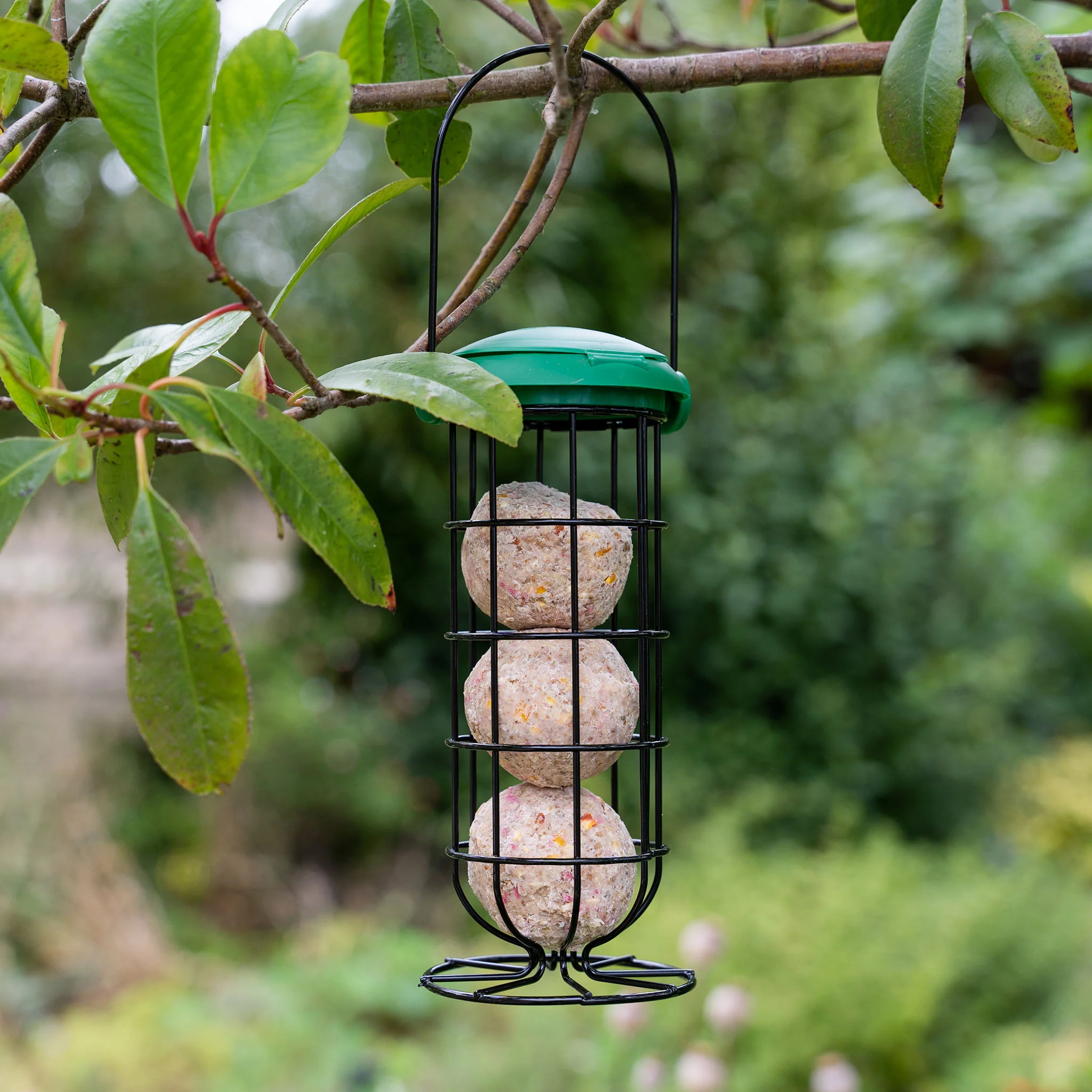 Gardman Flip Top Fat Snax Feeder - Image 3