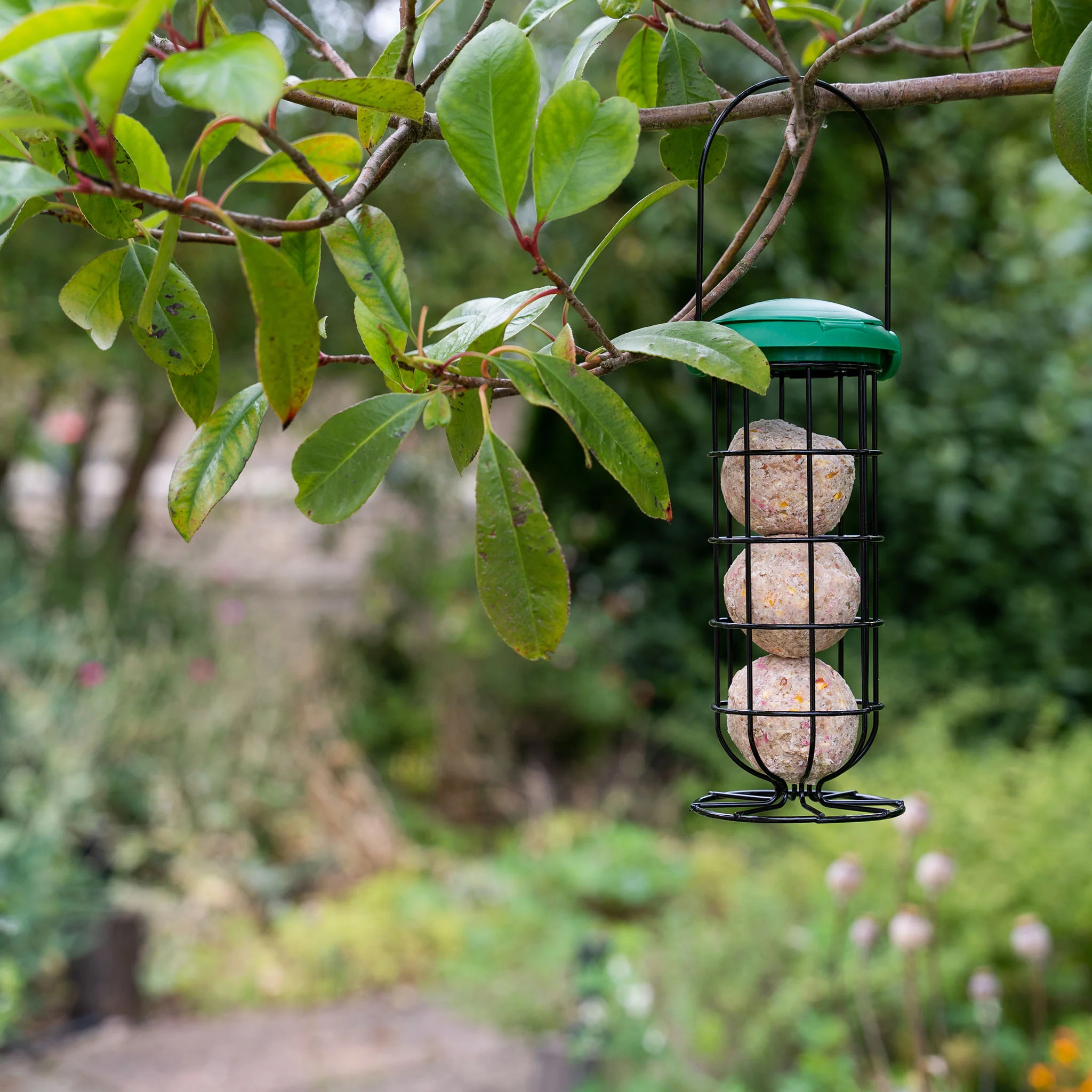 Gardman Flip Top Fat Snax Feeder - Image 4