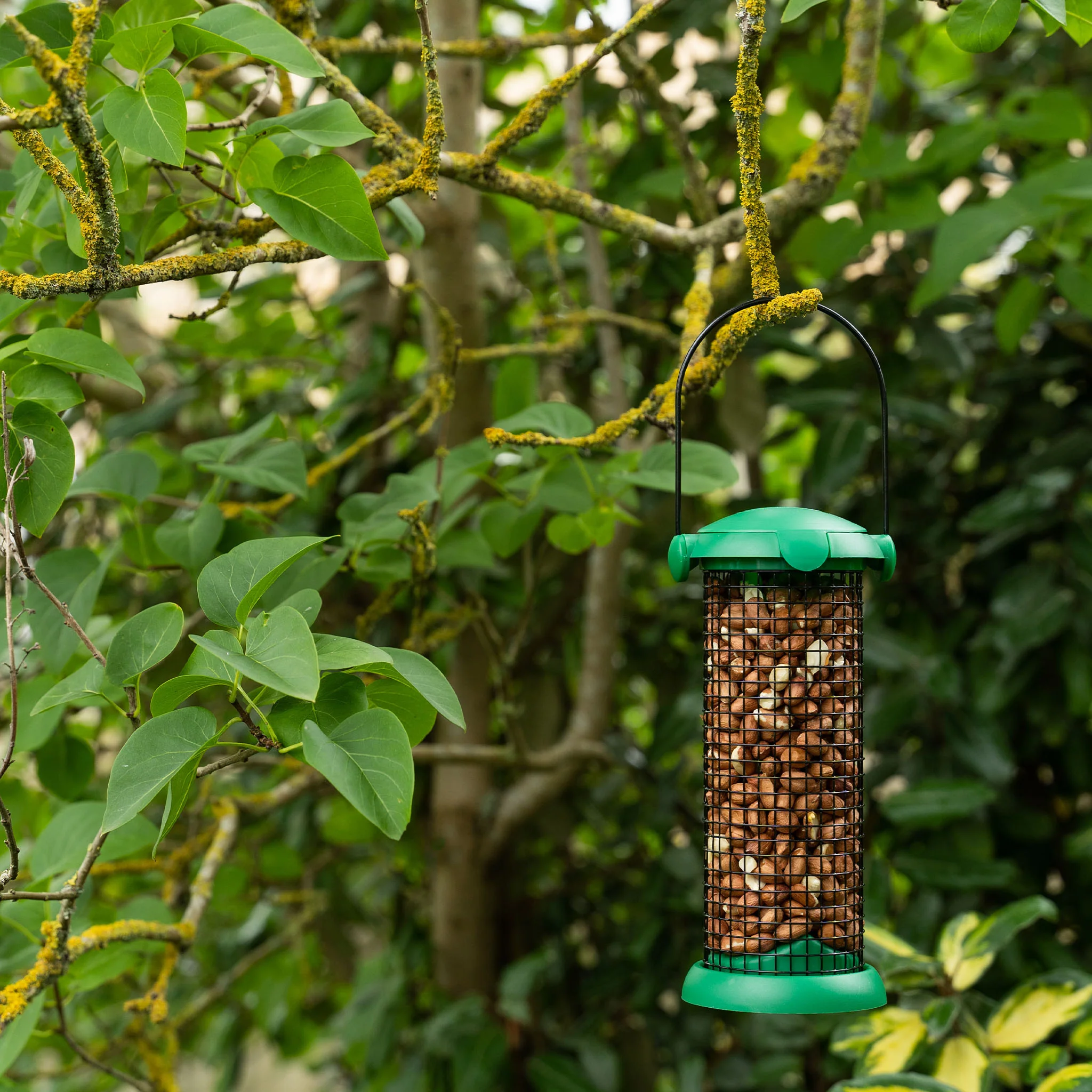 Gardman Flip Top Peanut Feeder - Image 5