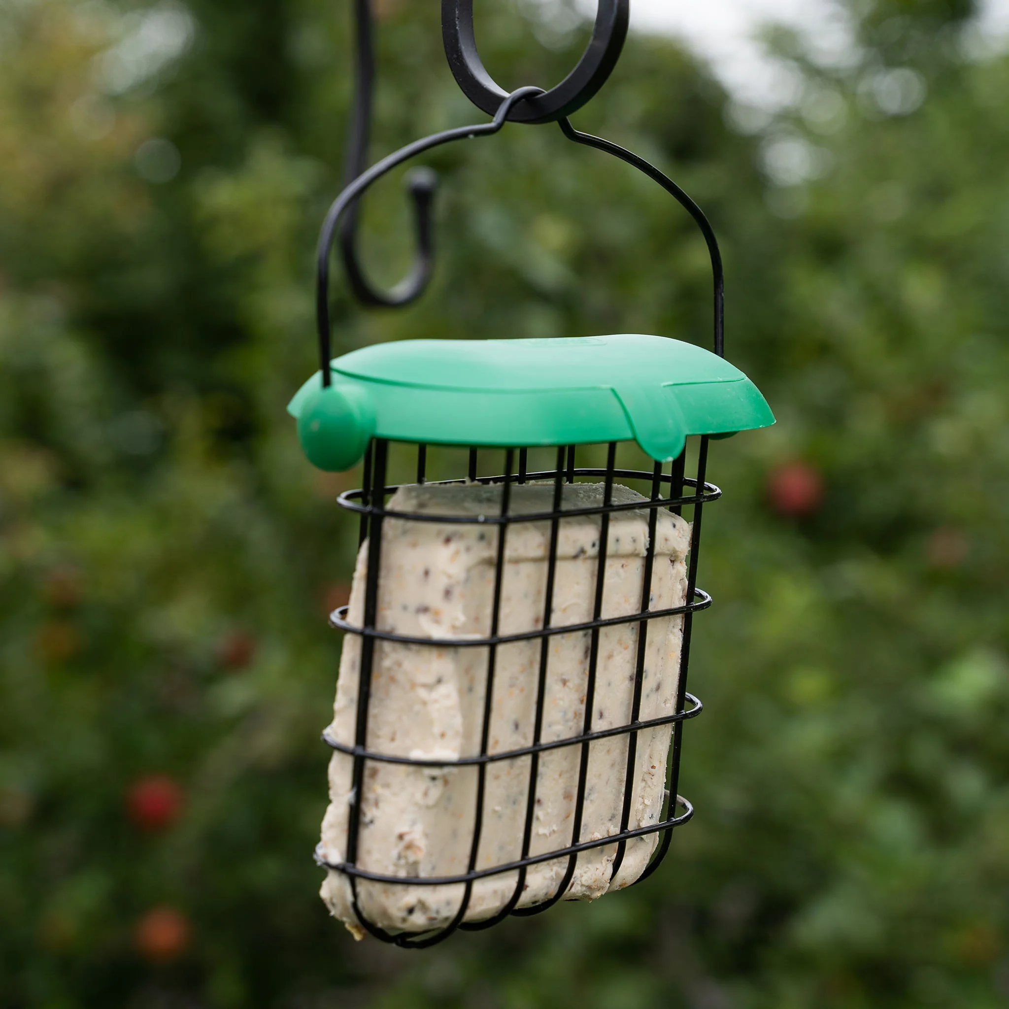 Gardman Flip Top Suet Feast Feeder - Image 2