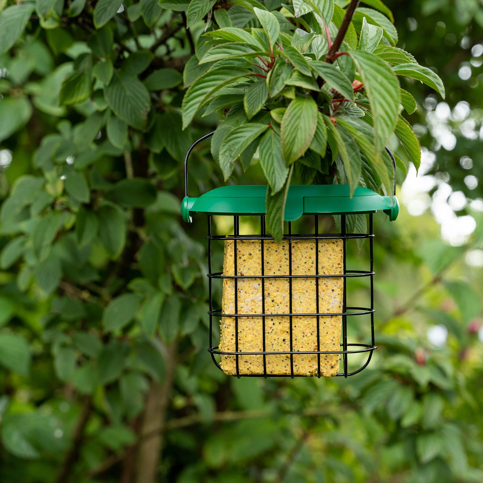 Gardman Flip Top Suet Feast Feeder - Image 3