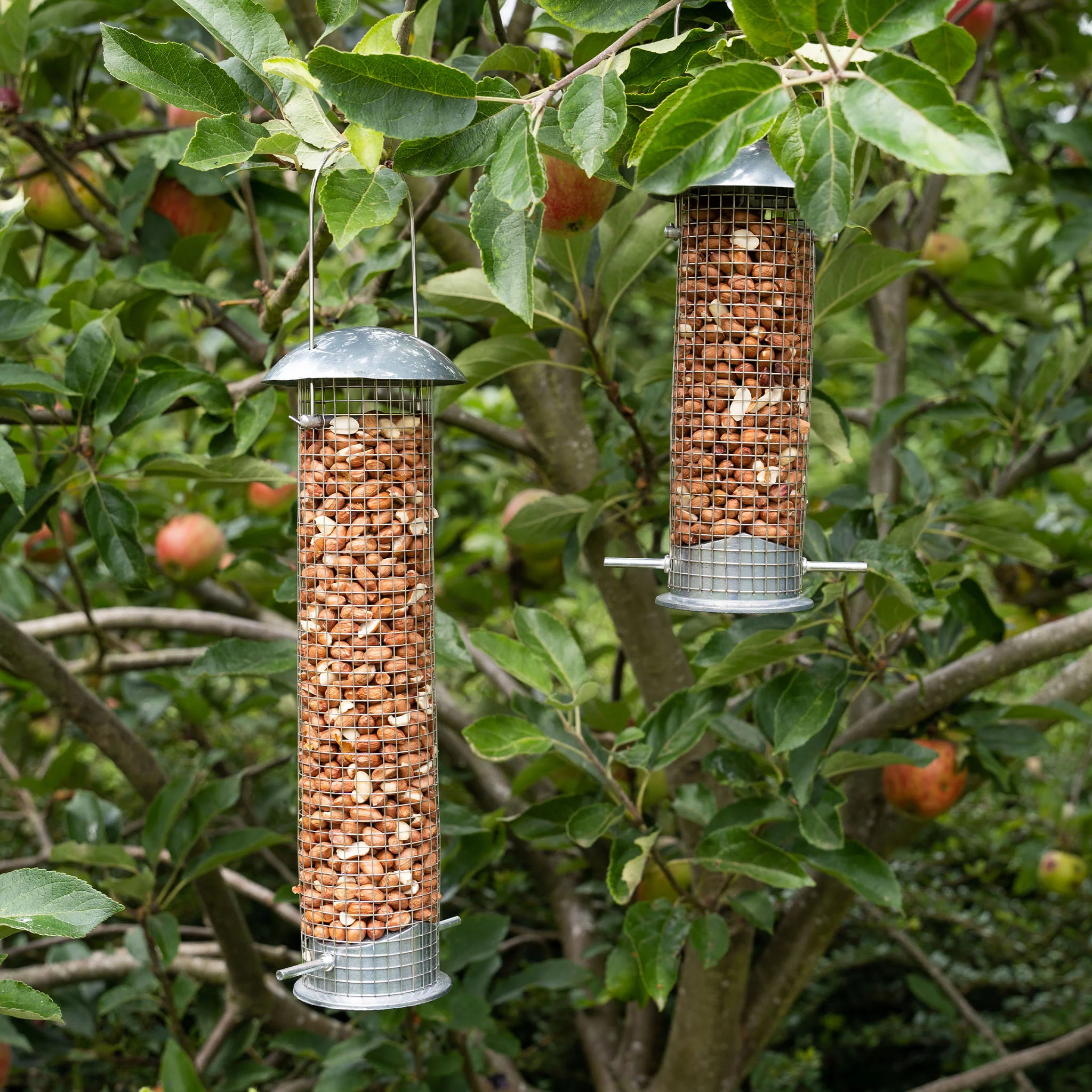 Gardman Heavy Duty Large Peanut Feeder - Image 4