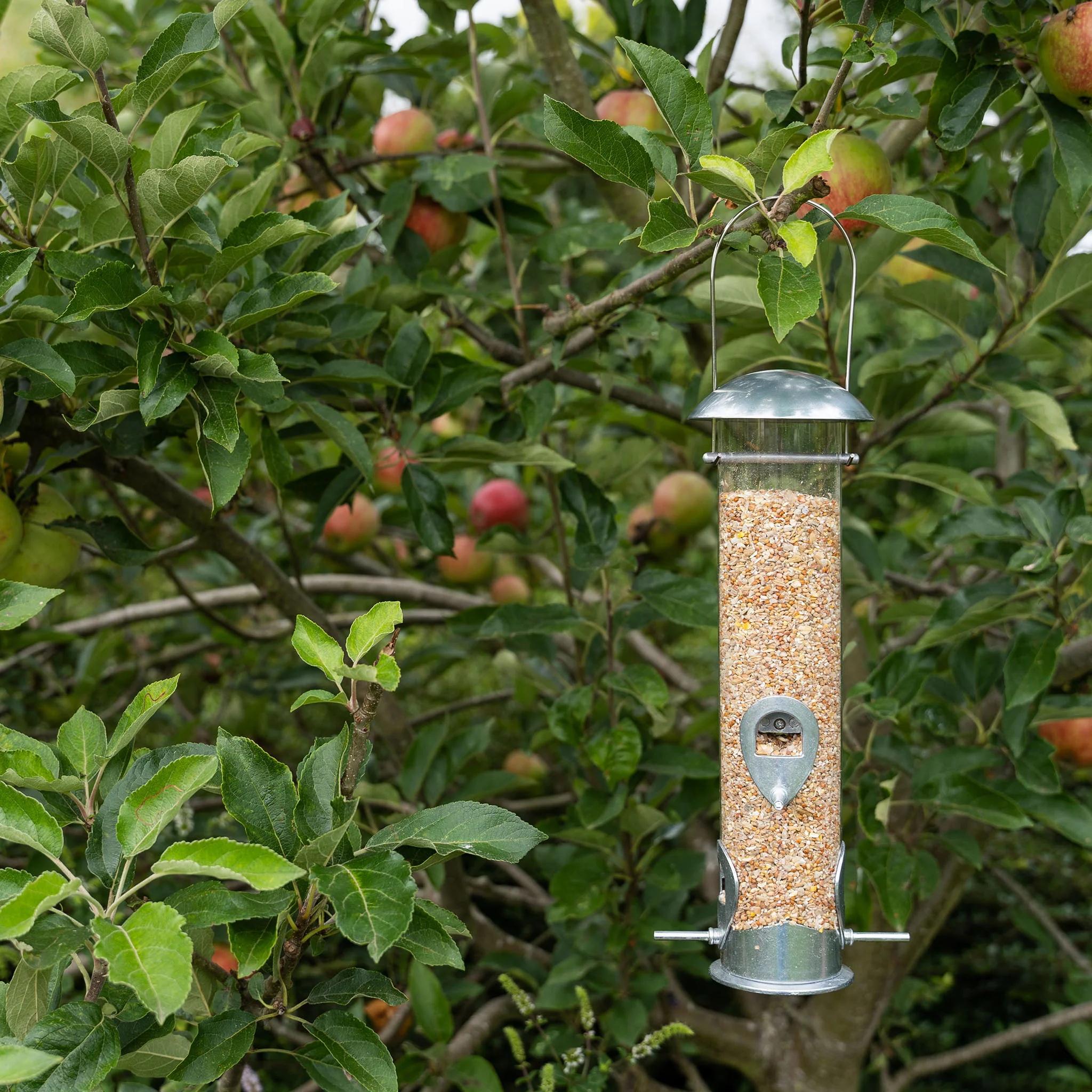 Gardman Heavy Duty Large Seed Feeder - Image 3