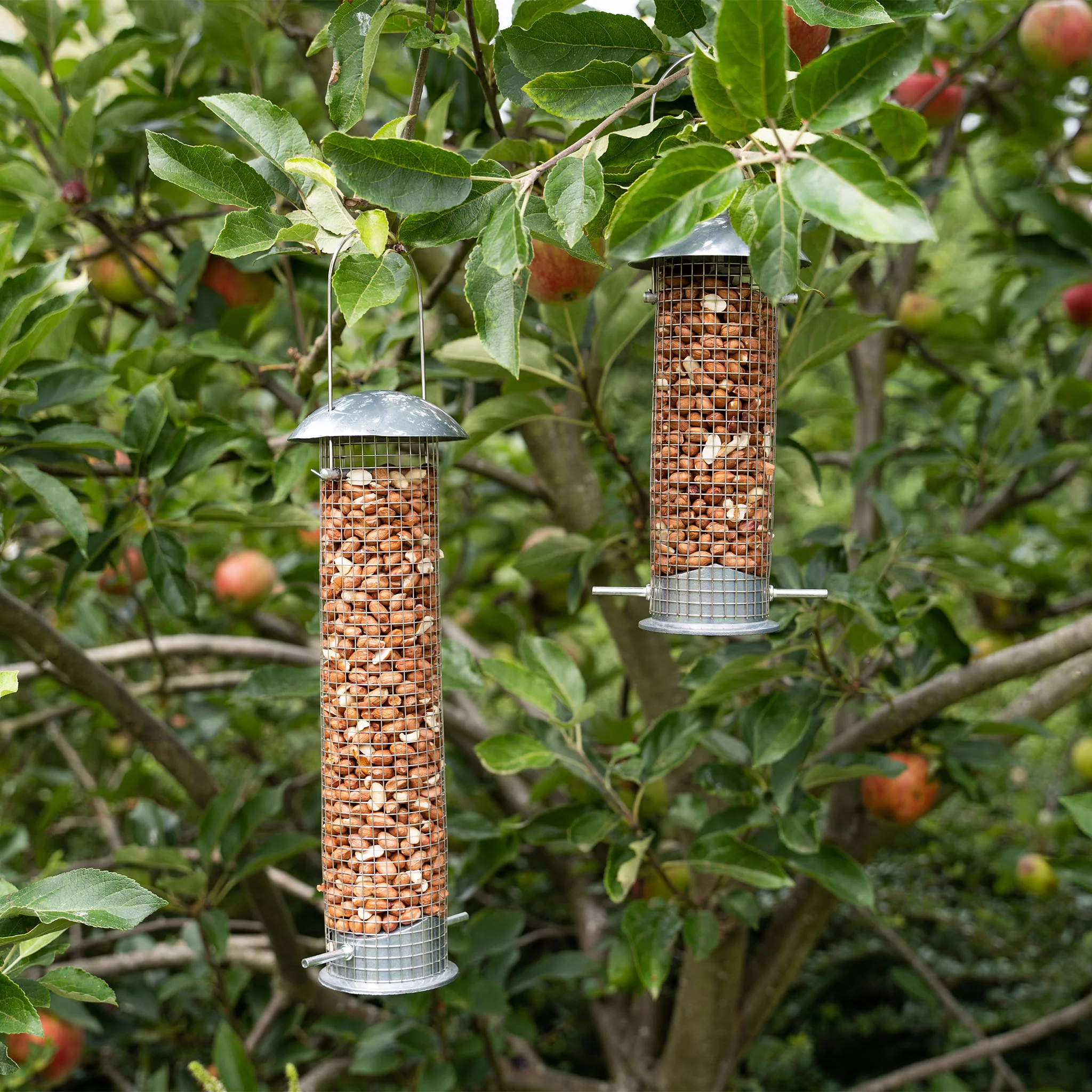 Gardman Heavy Duty Peanut Feeder - Image 4