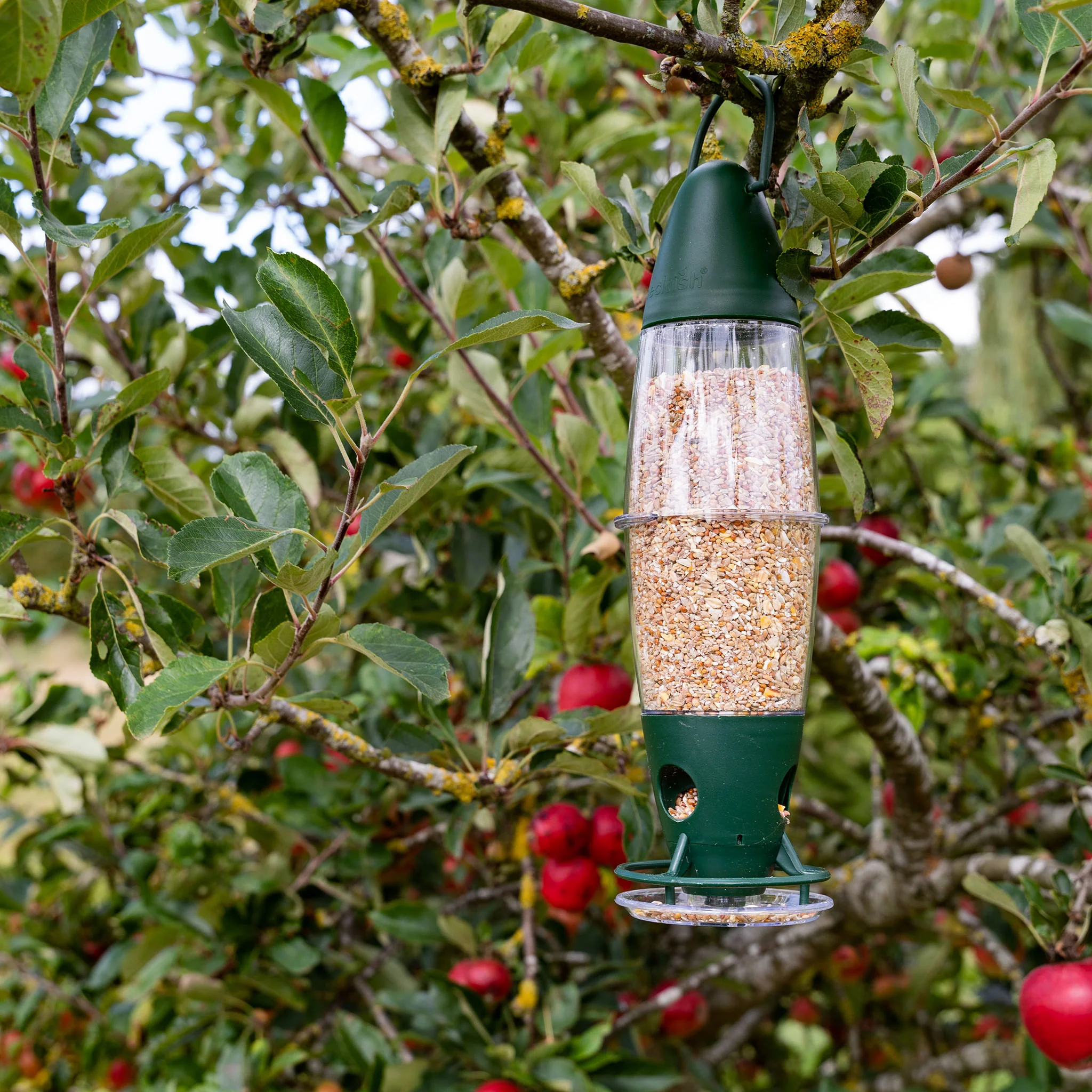 Peckish 3 Port Bird Feeder - Image 4