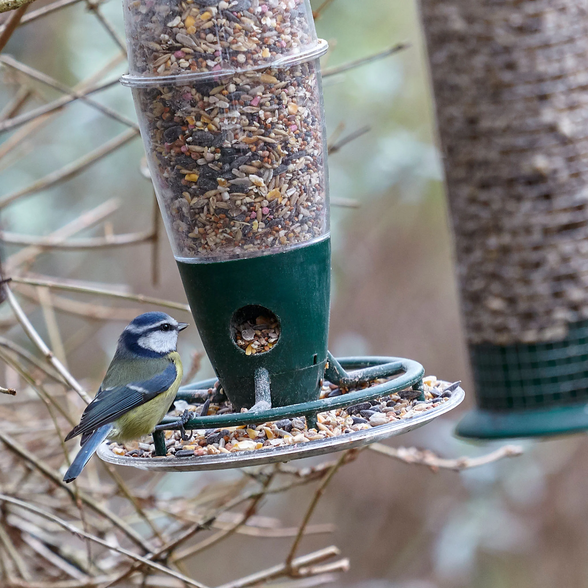 Peckish 3 Port Multi Seed Feeder - Image 4