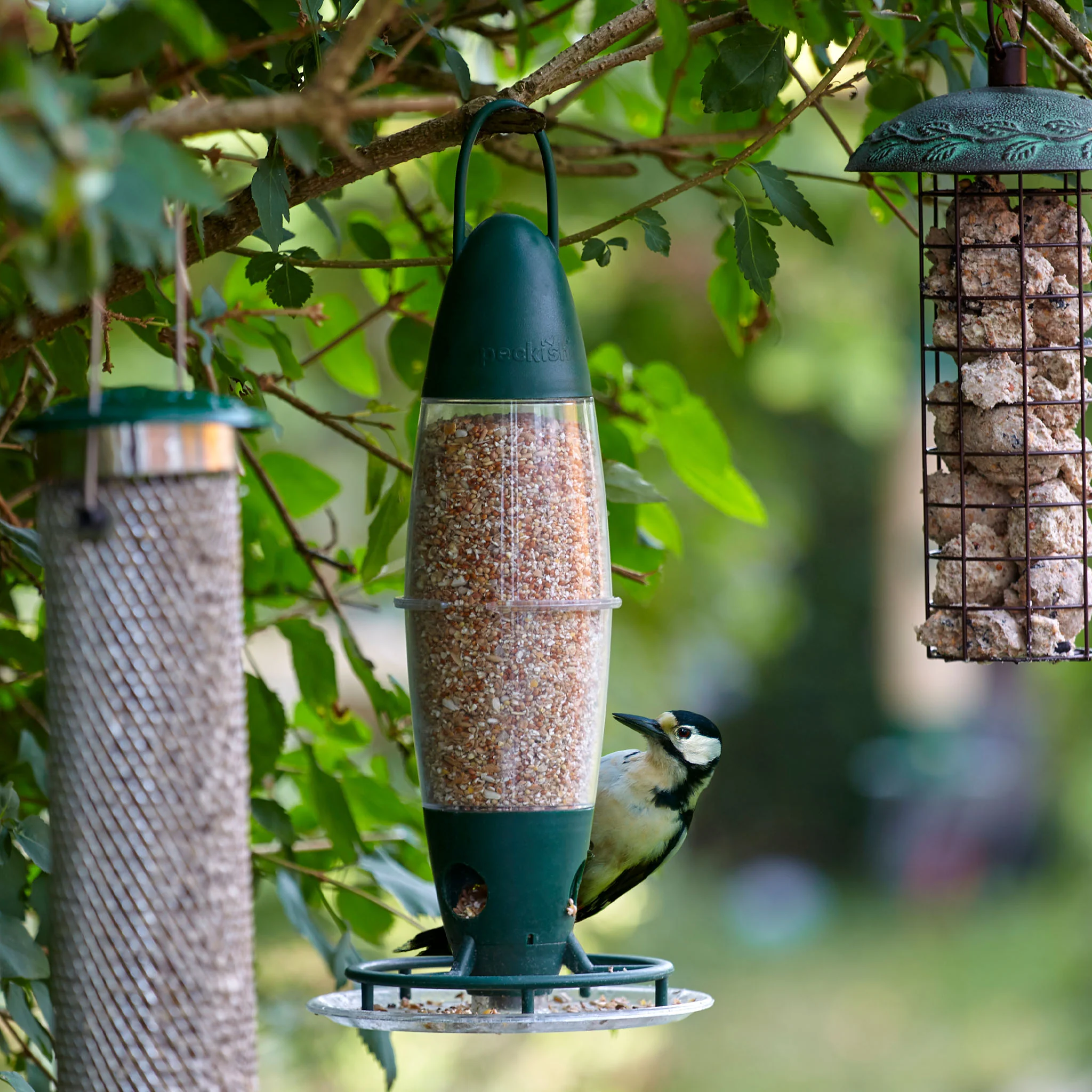 Peckish 3 Port Multi Seed Feeder - Image 5
