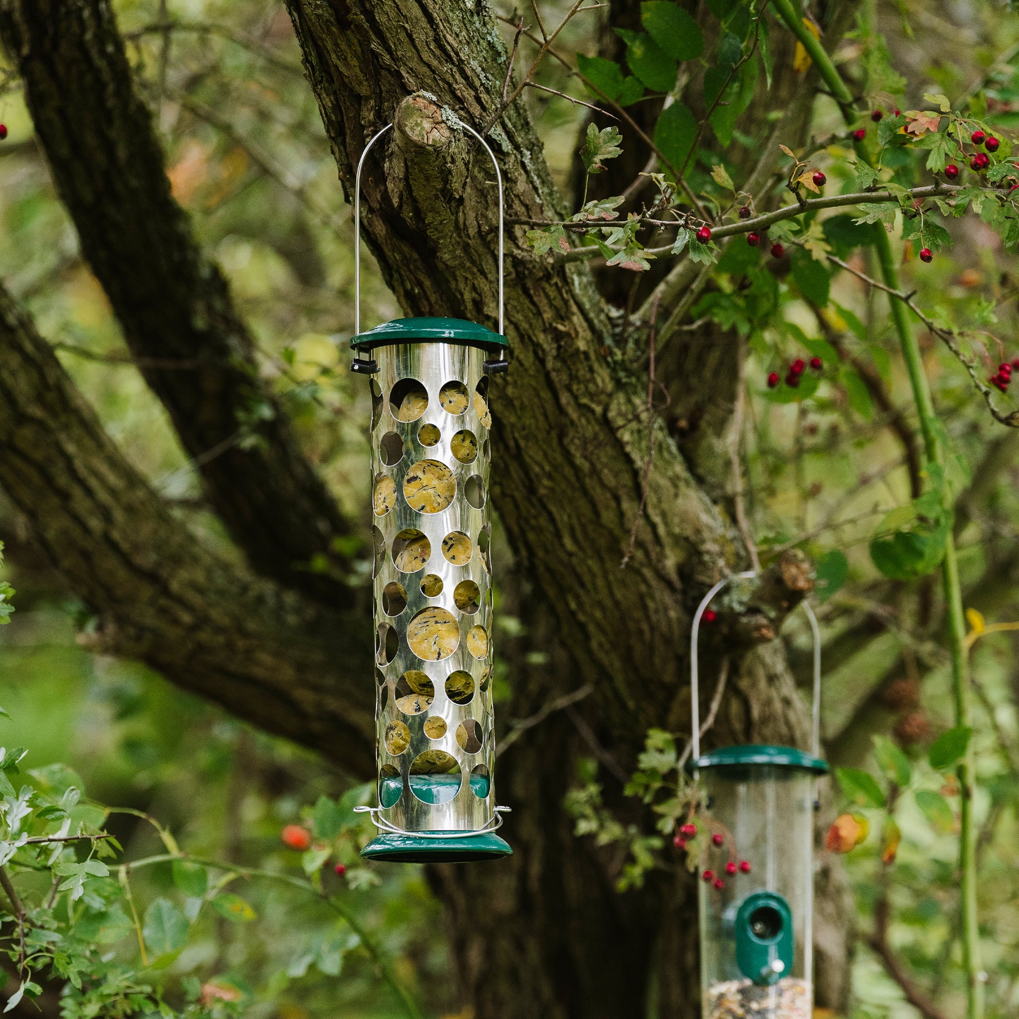 Peckish All Weather Energy Ball Feeder - Image 3