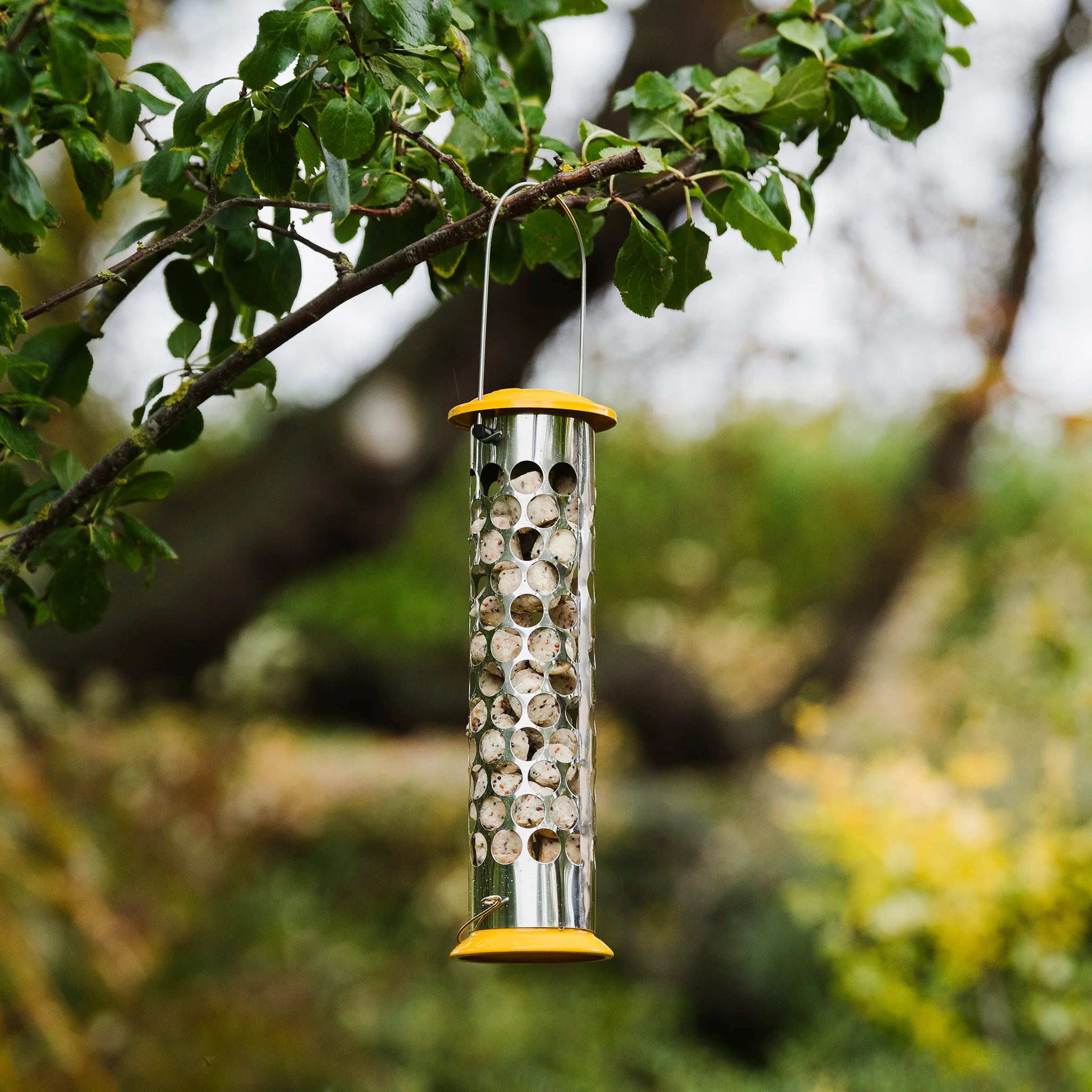 Peckish All Weather Extra Goodness Feeder - Image 3