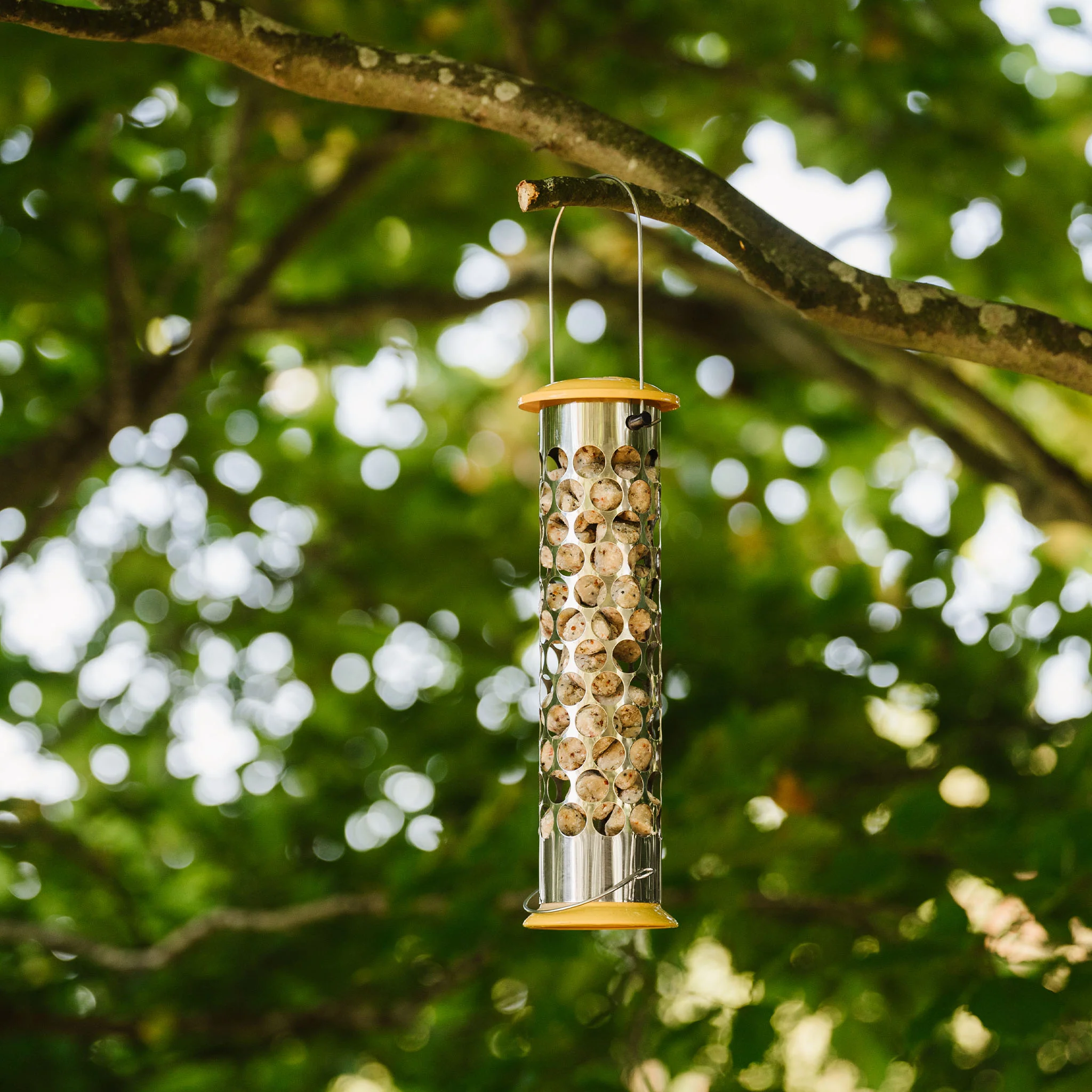 Peckish All Weather Extra Goodness Feeder - Image 4