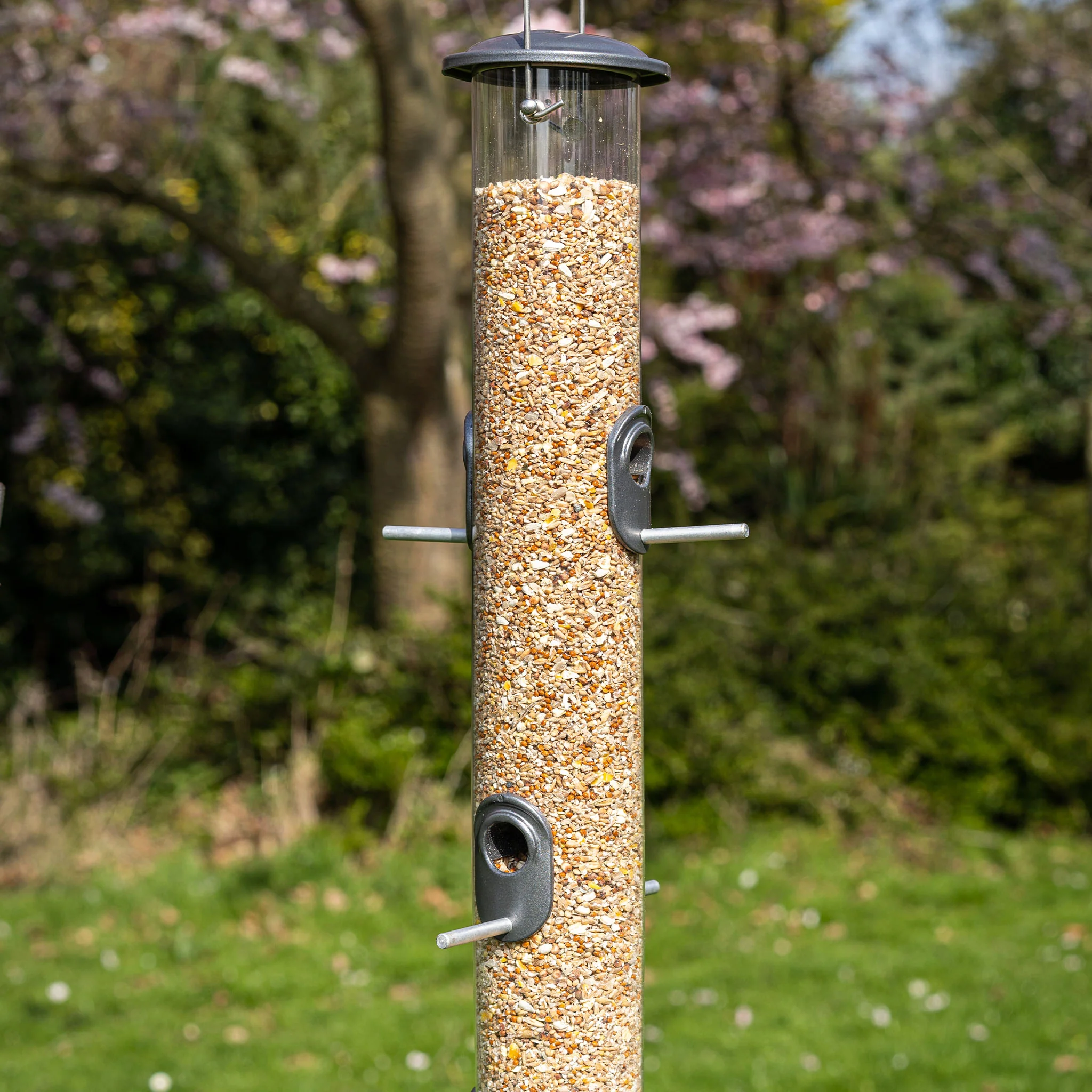 Peckish All Weather Giant Seed Feeder - Image 3