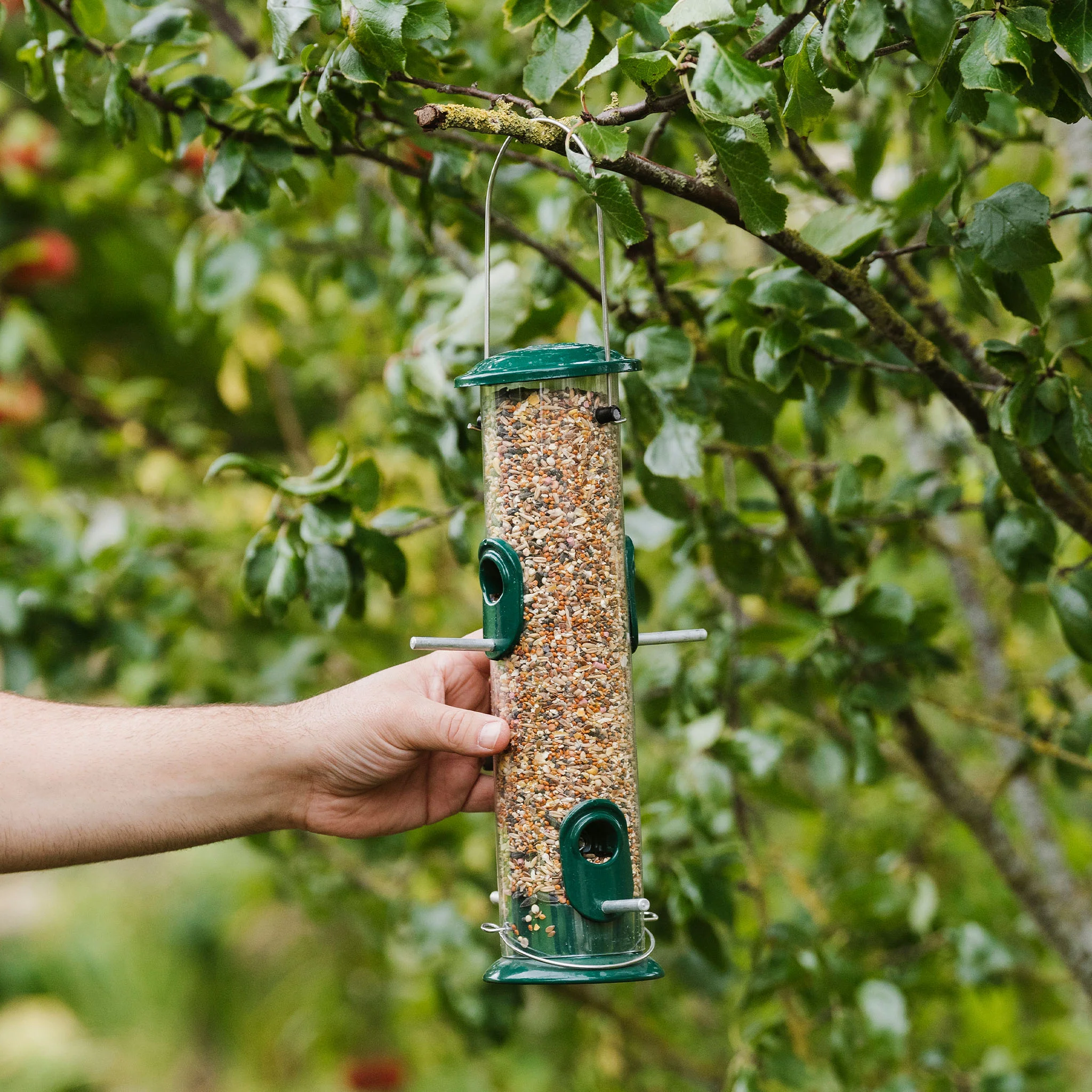 Peckish All Weather Seed Feeder - Image 3