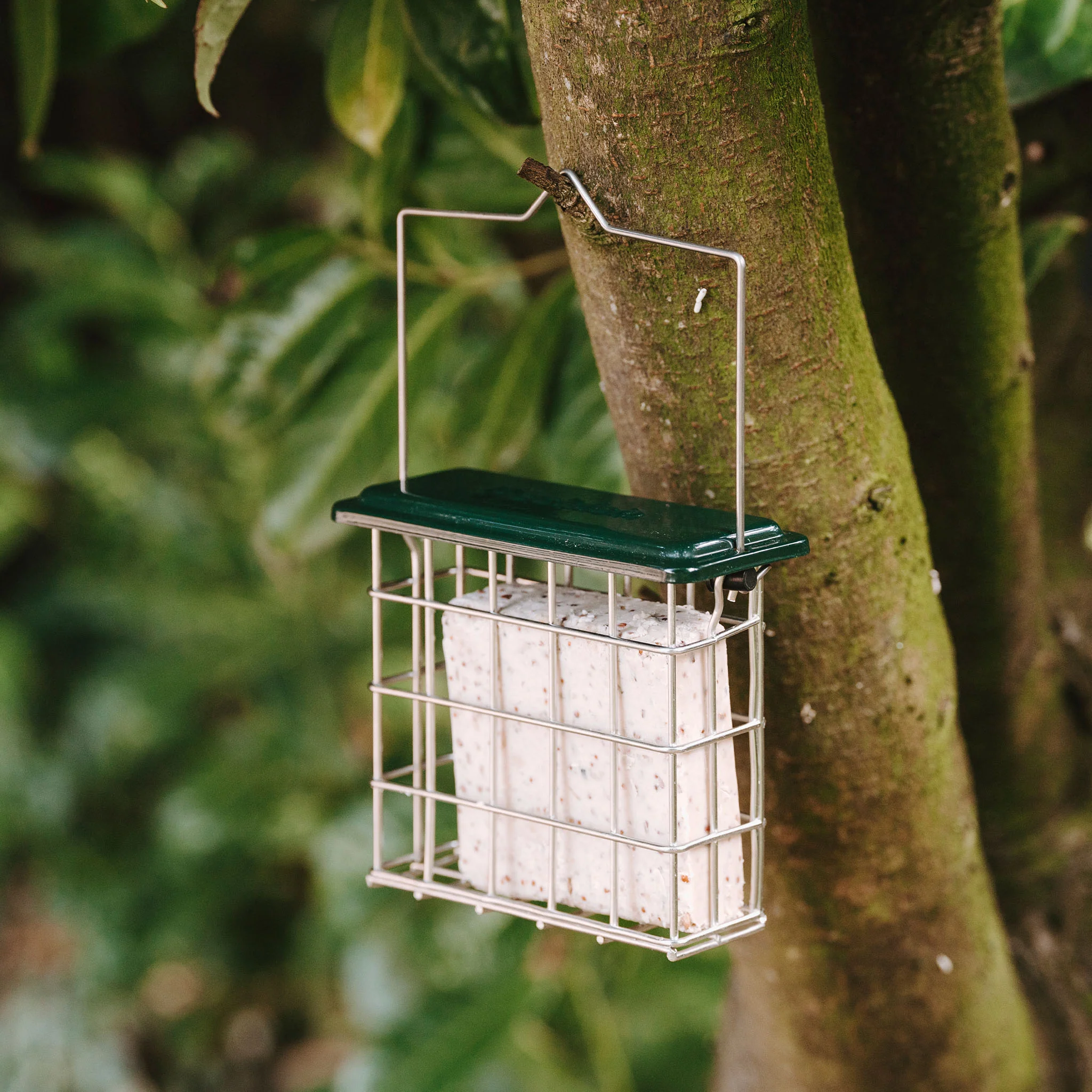 Peckish All Weather Suet Cake Feeder - Image 3