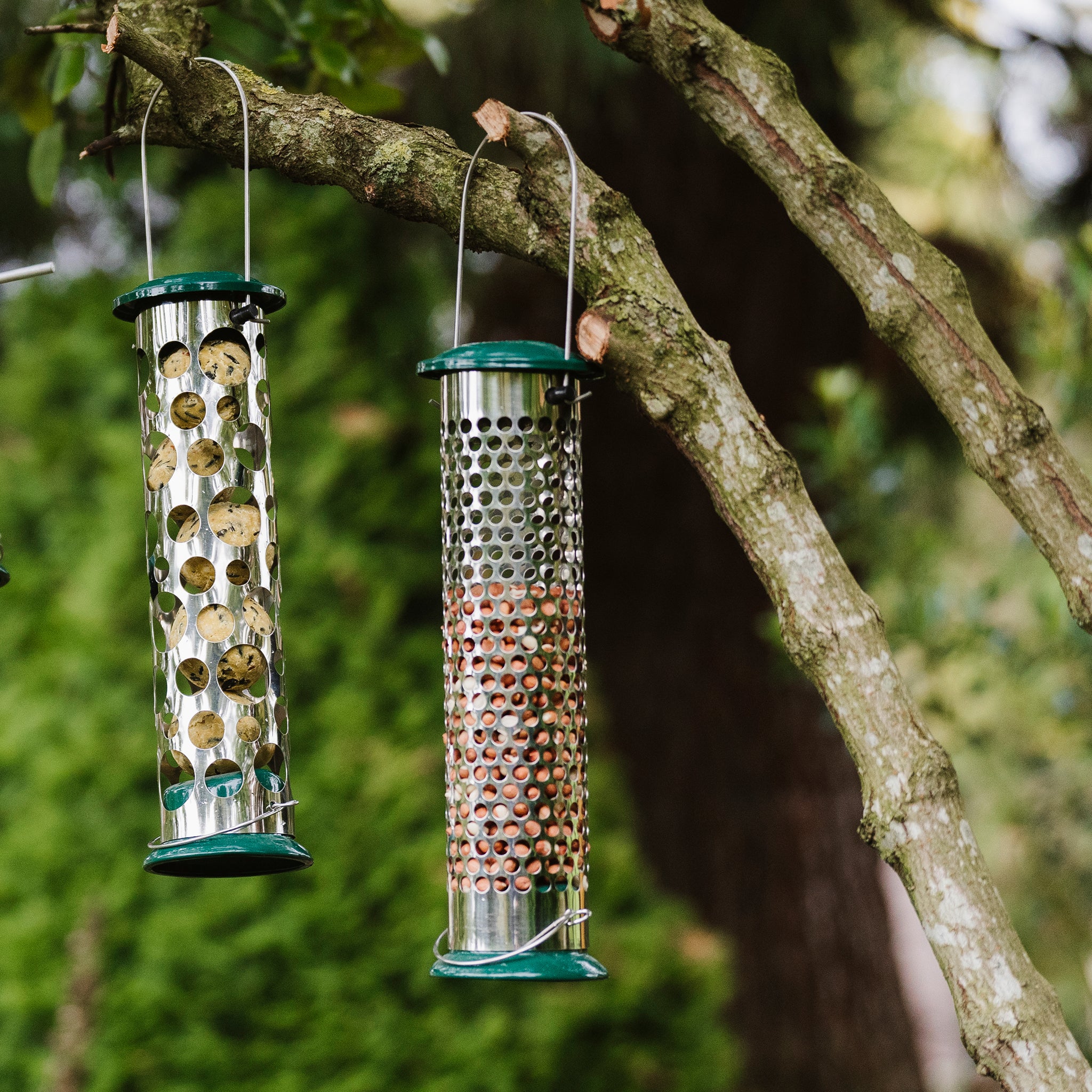 Peckish All Weather Suet & Peanut Feeder - Image 3