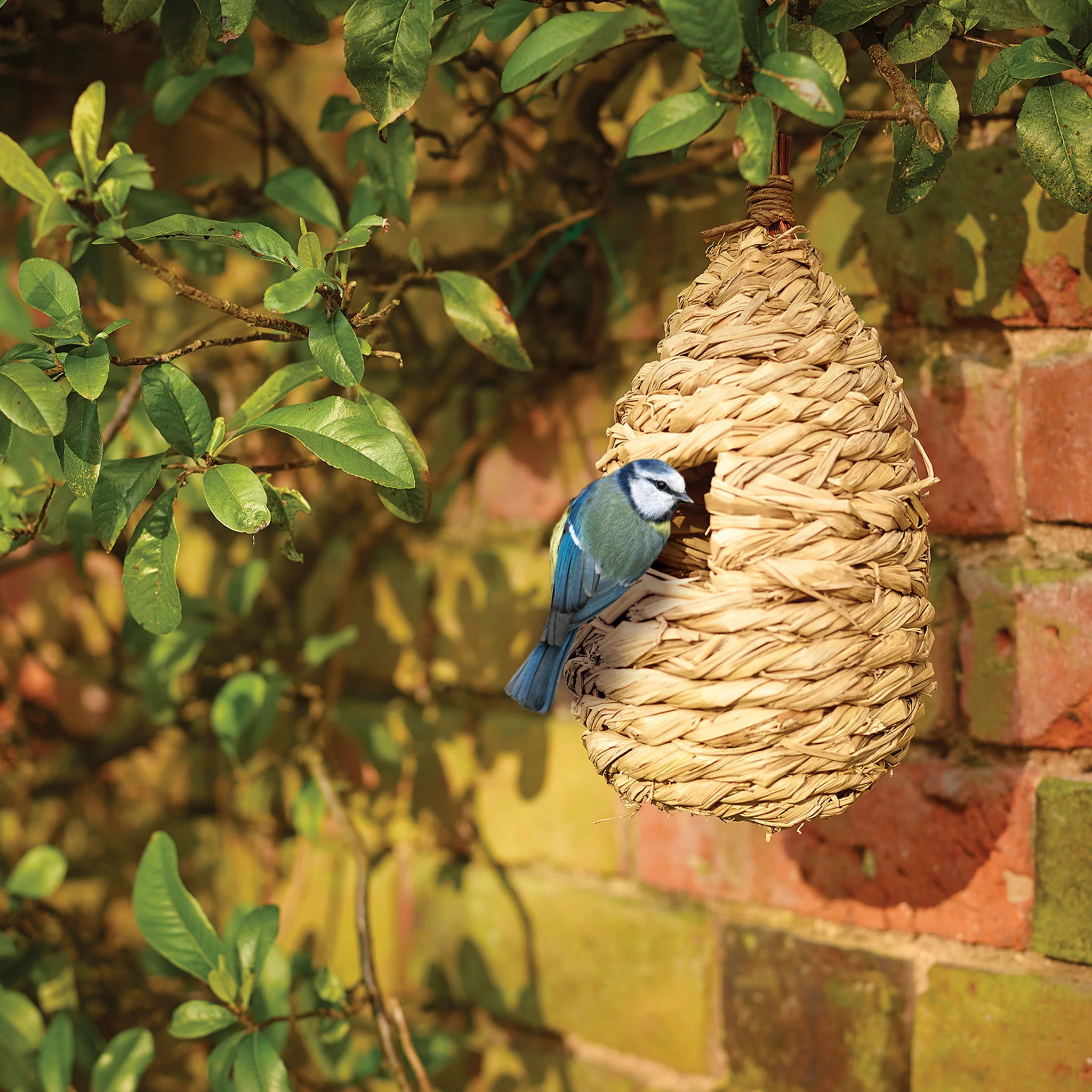 Gardman Roosting Pouch - Image 3