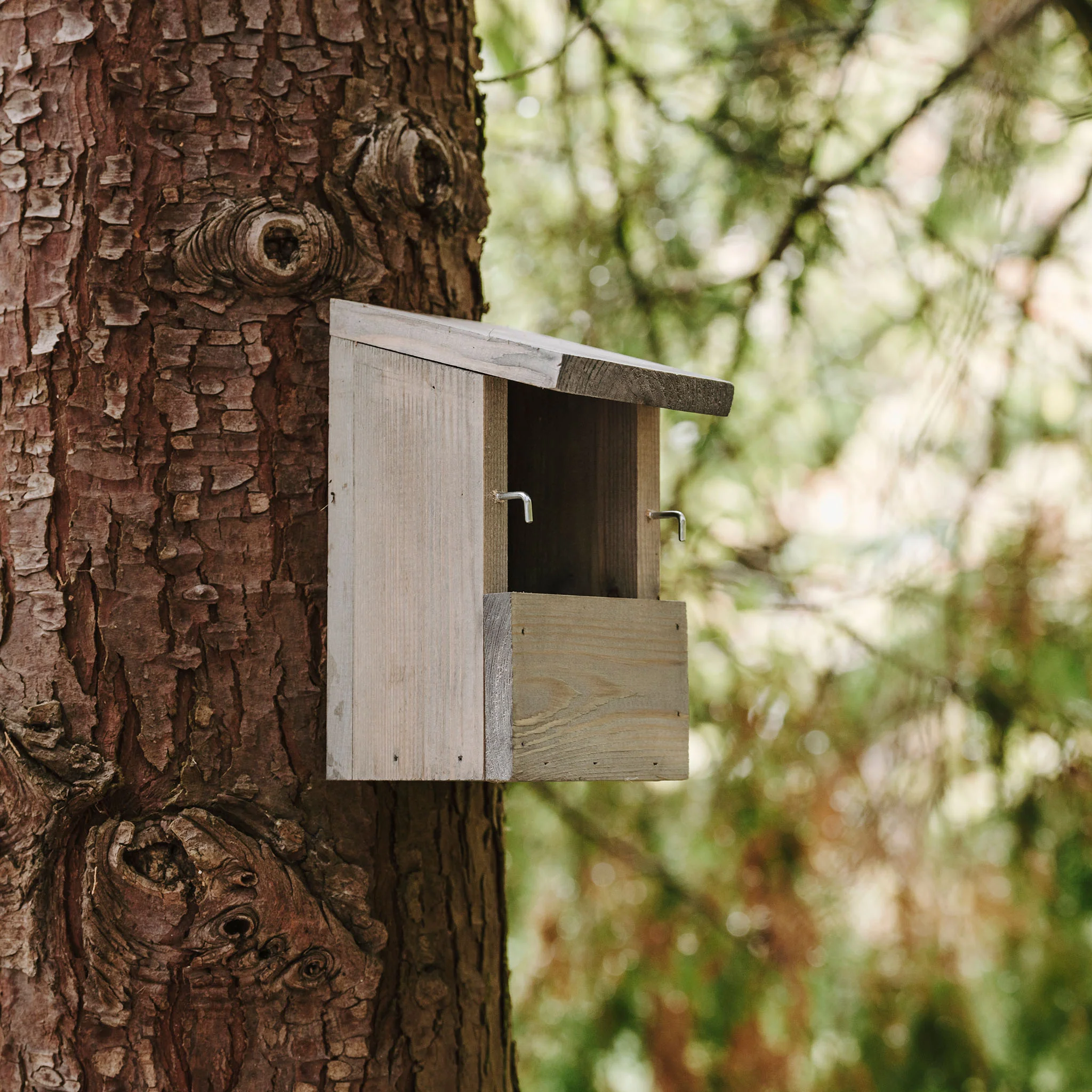 Peckish Everyday Nest Box - Image 3