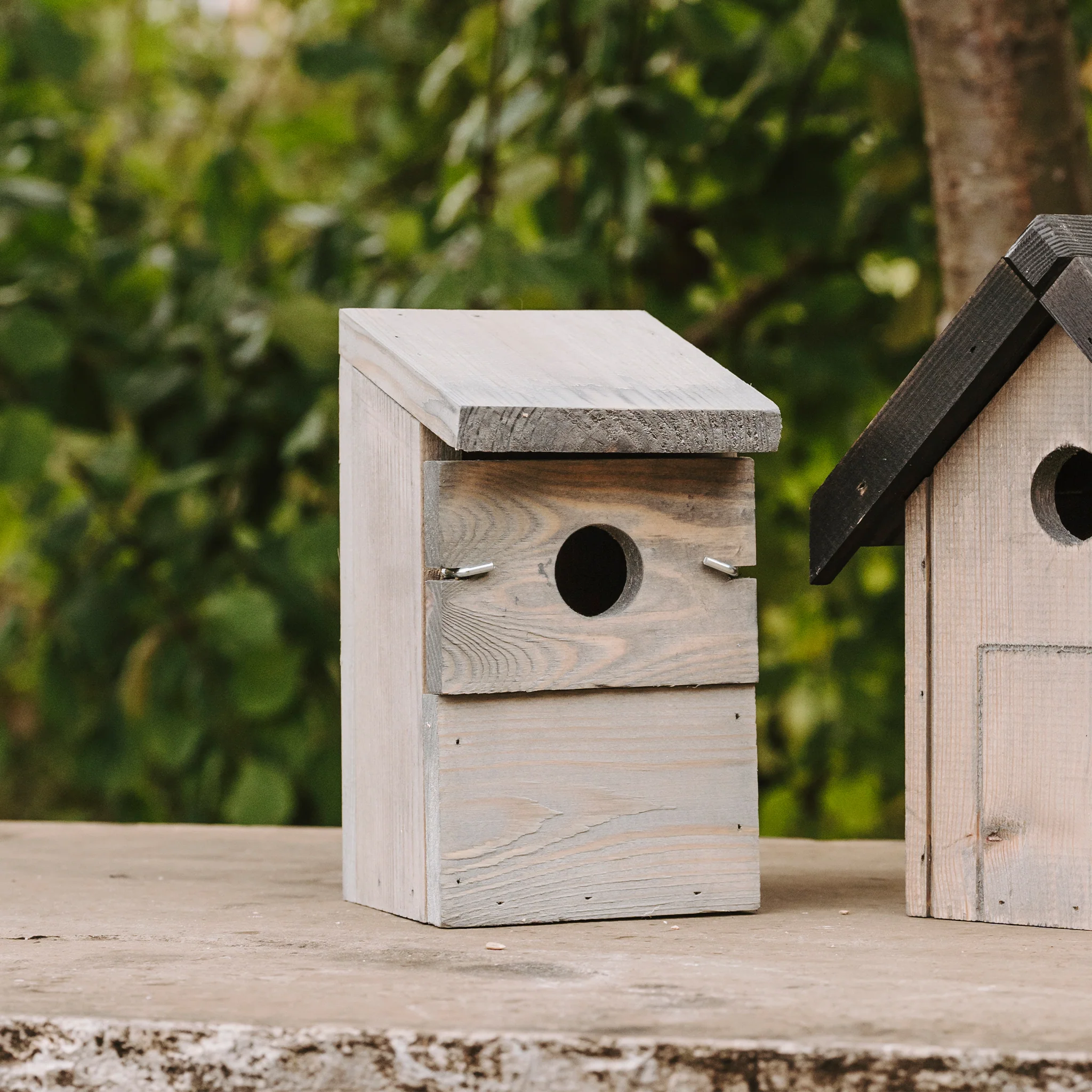 Peckish Everyday Nest Box - Image 5