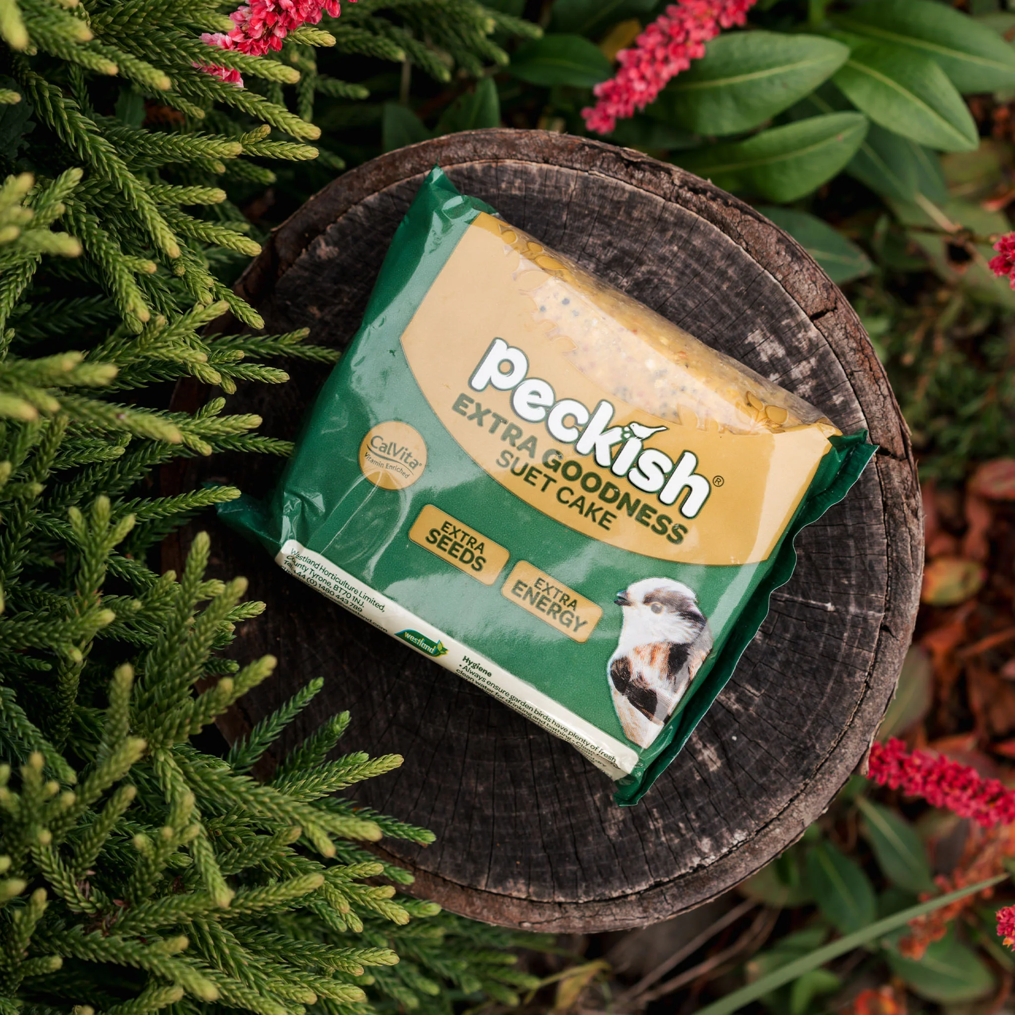 Peckish Extra Goodness Suet Cakes - Image 4