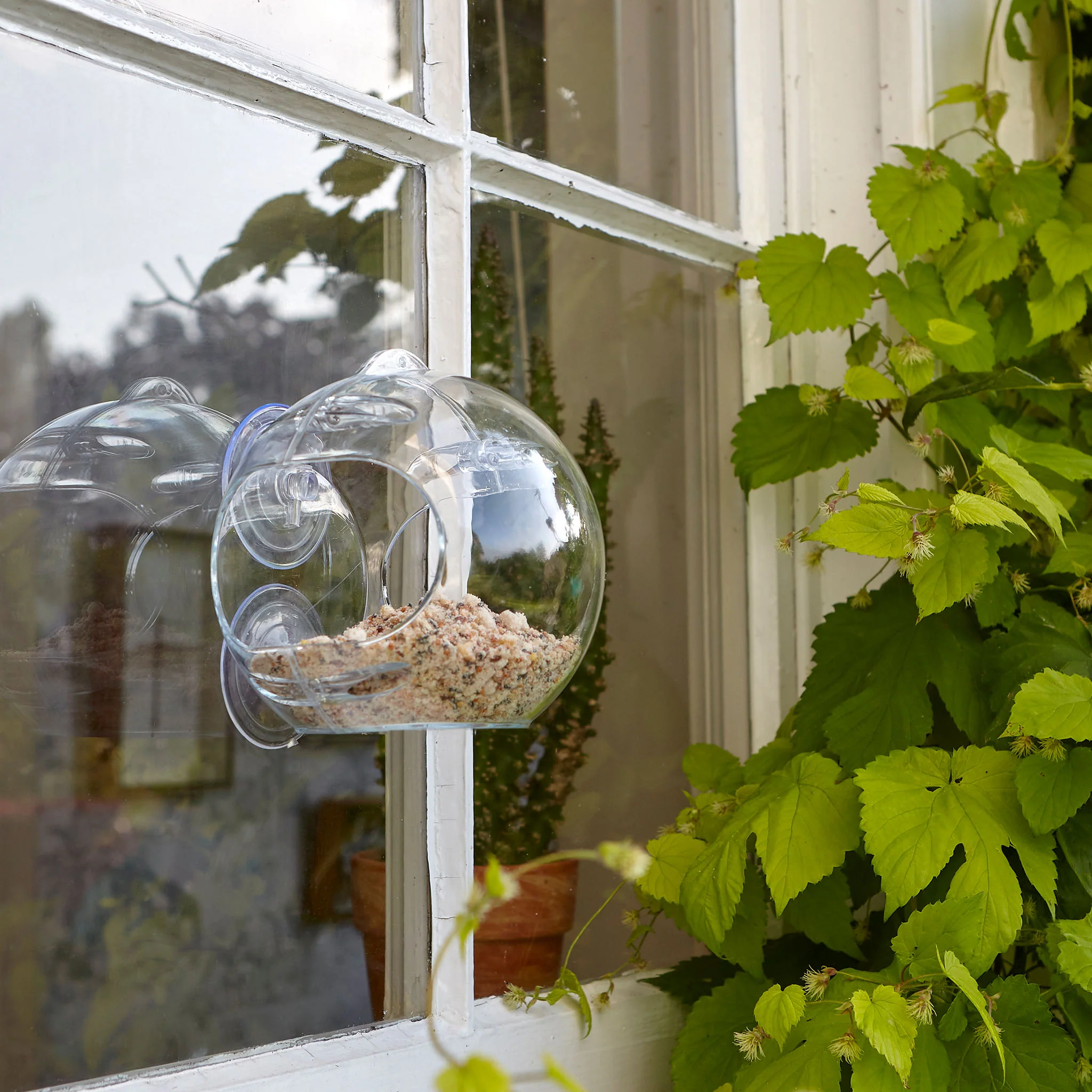 Peckish Globe Window Feeder - Image 2