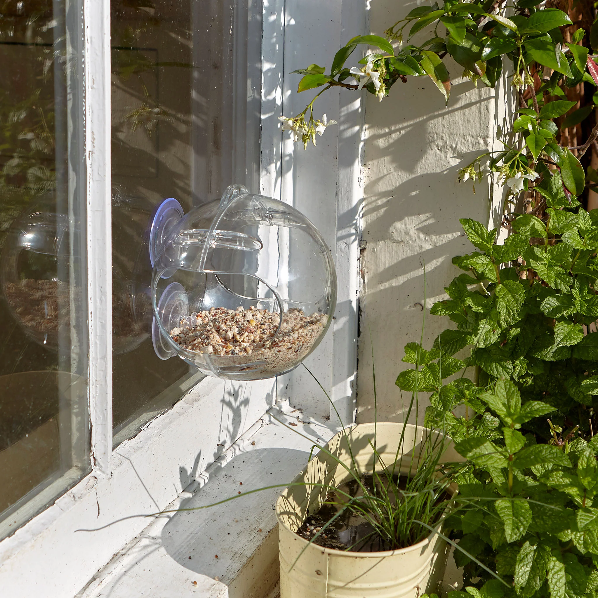 Peckish Globe Window Feeder - Image 3