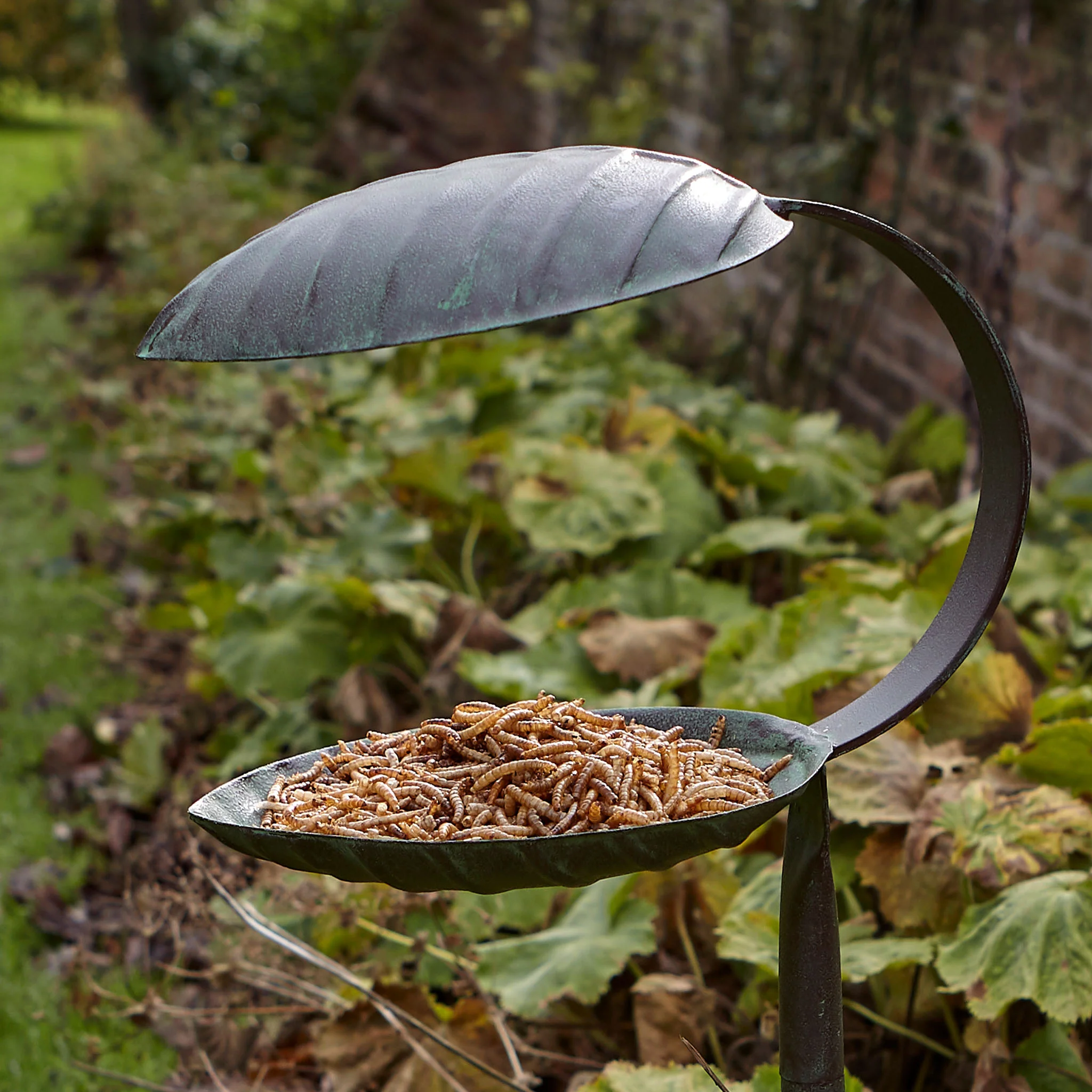 Peckish Mealworms - Image 5