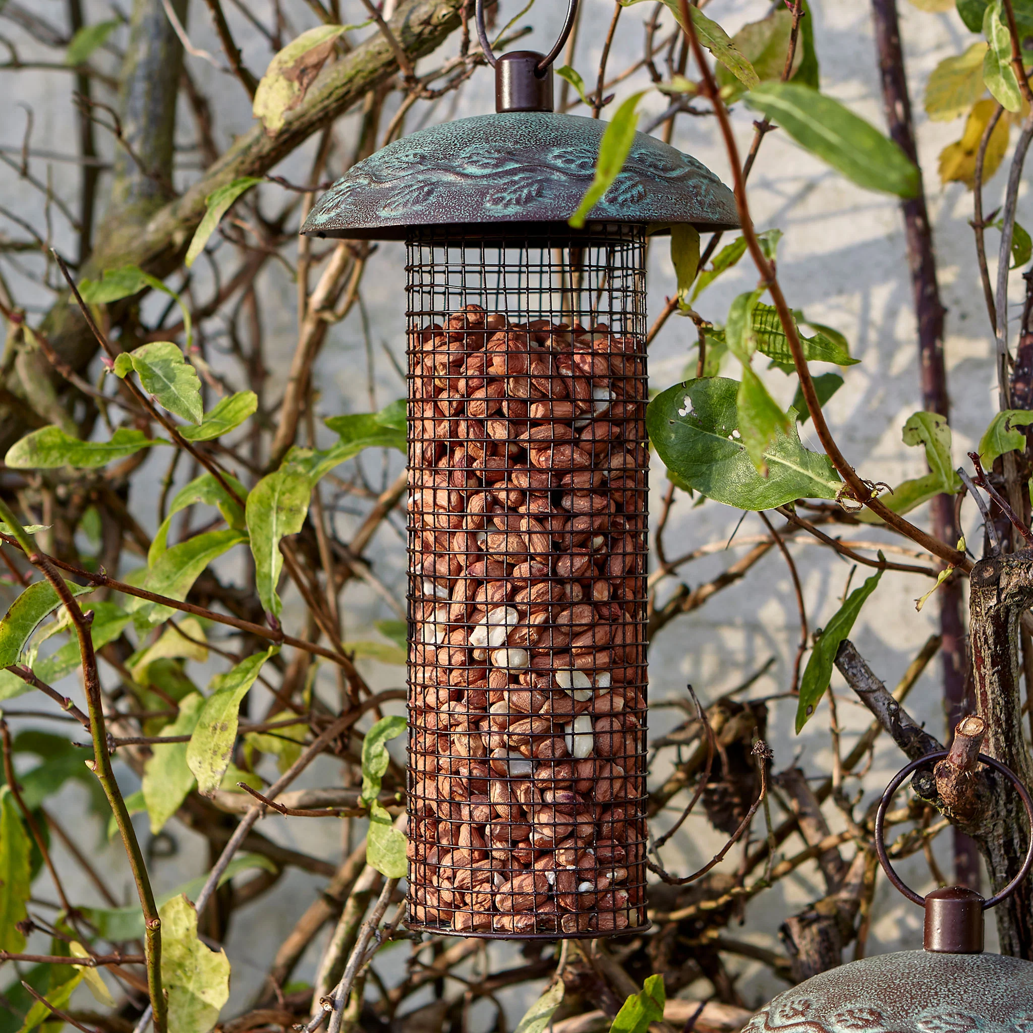 Peckish Peanuts - Image 6