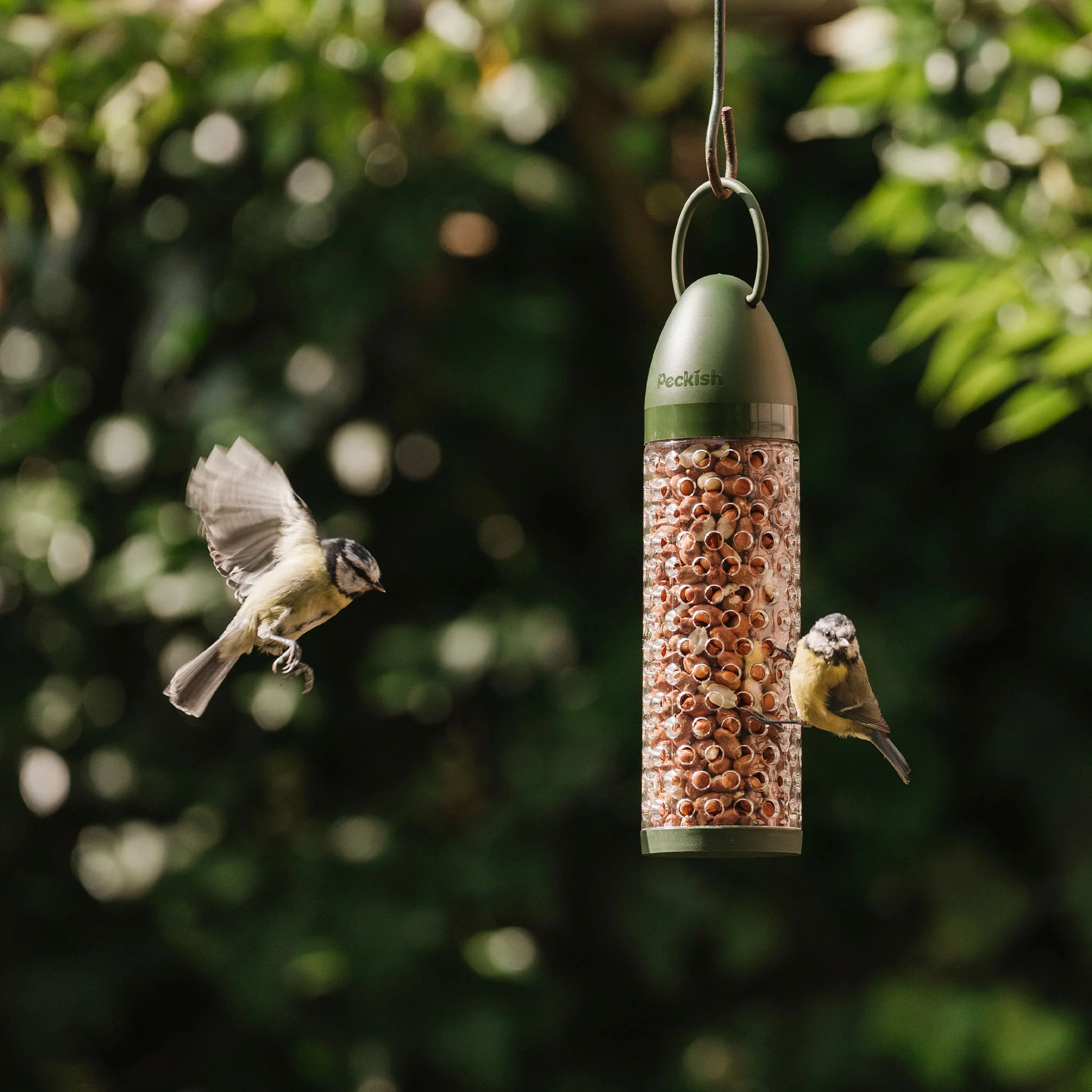 Peckish Peanuts Filled Feeder - Image 3