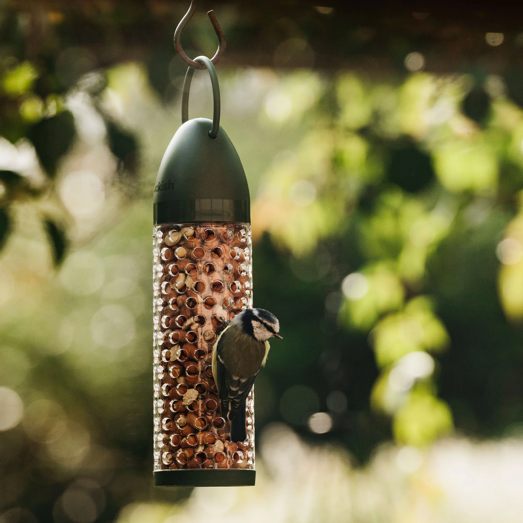 Peckish Peanuts Filled Feeder - Image 5