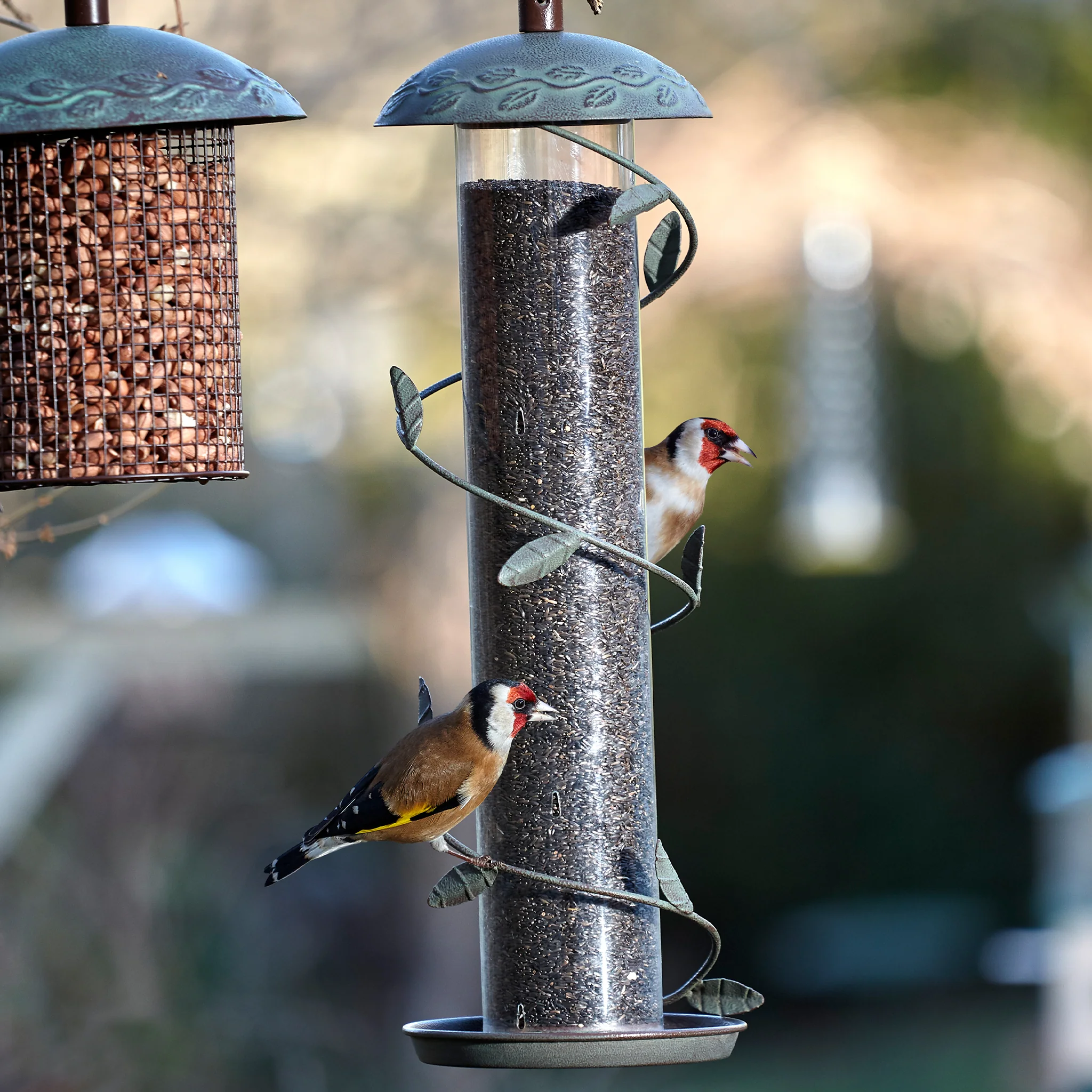 Peckish Secret Garden Spiral Finch Feeder - Image 2