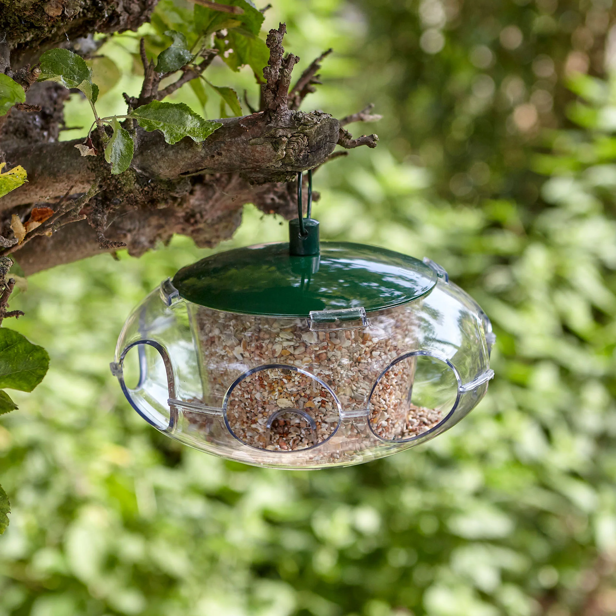 Peckish Small Bird Feeder - Image 3