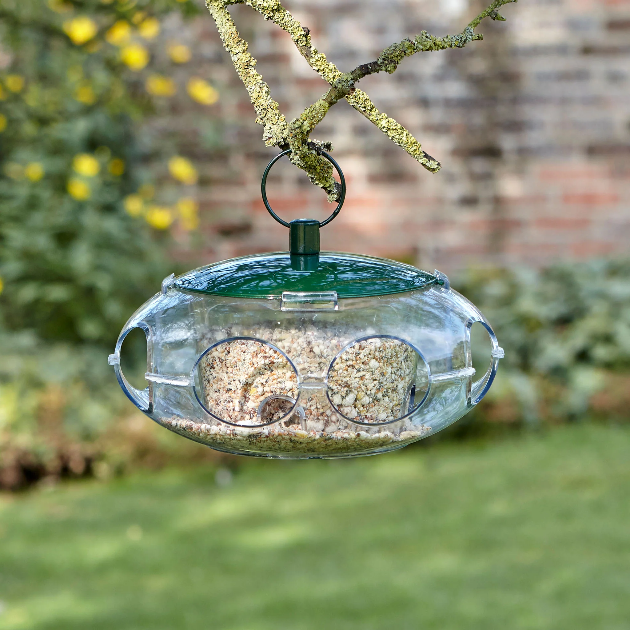 Peckish Small Bird Feeder - Image 4