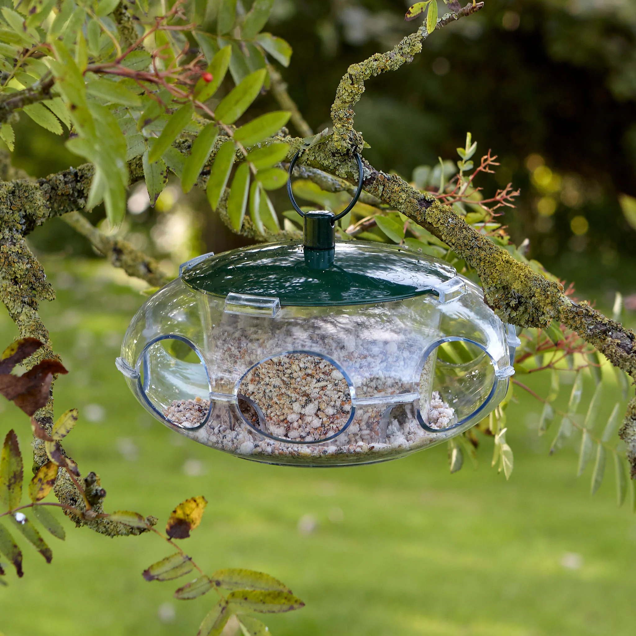 Peckish Small Bird Feeder - Image 5