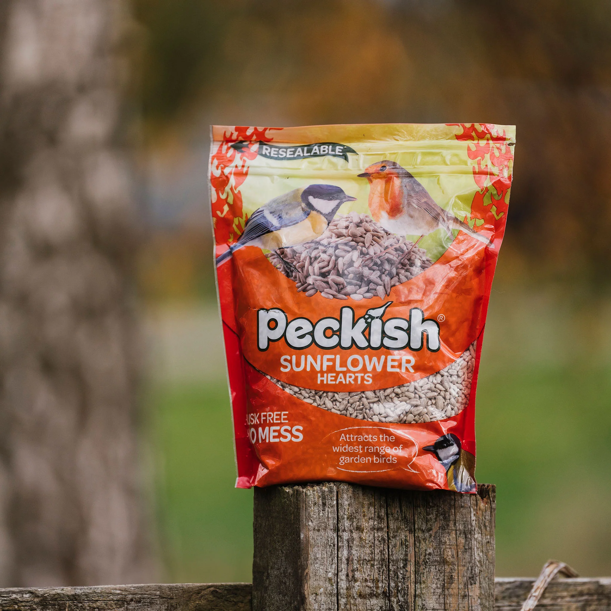 Peckish Sunflower Hearts - Image 3