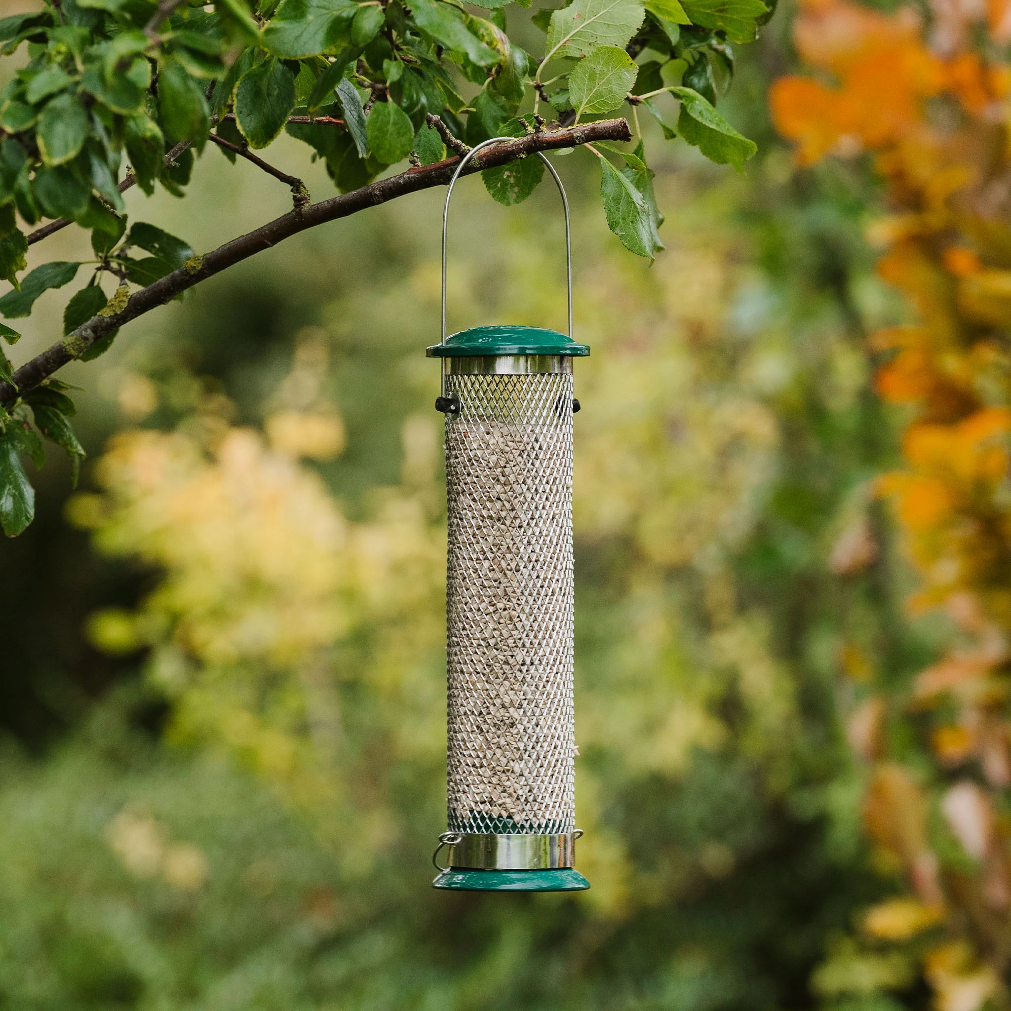 Peckish Sunflower Hearts - Image 4