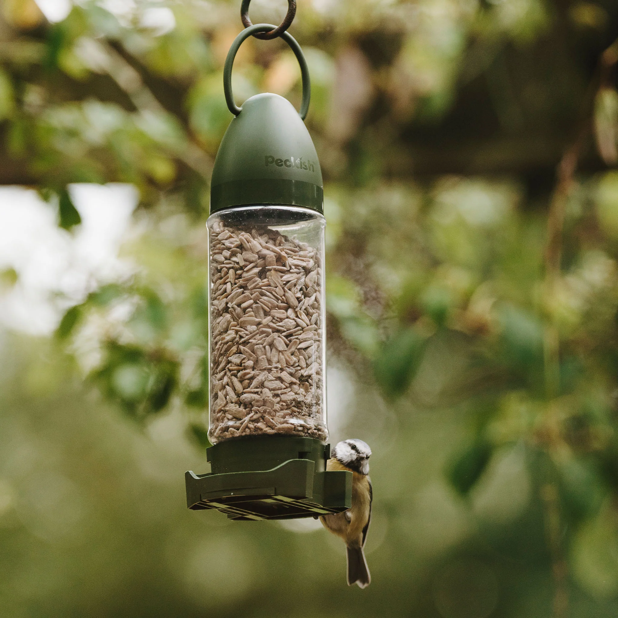 Peckish Sunflower Hearts Filled Feeder - Image 5