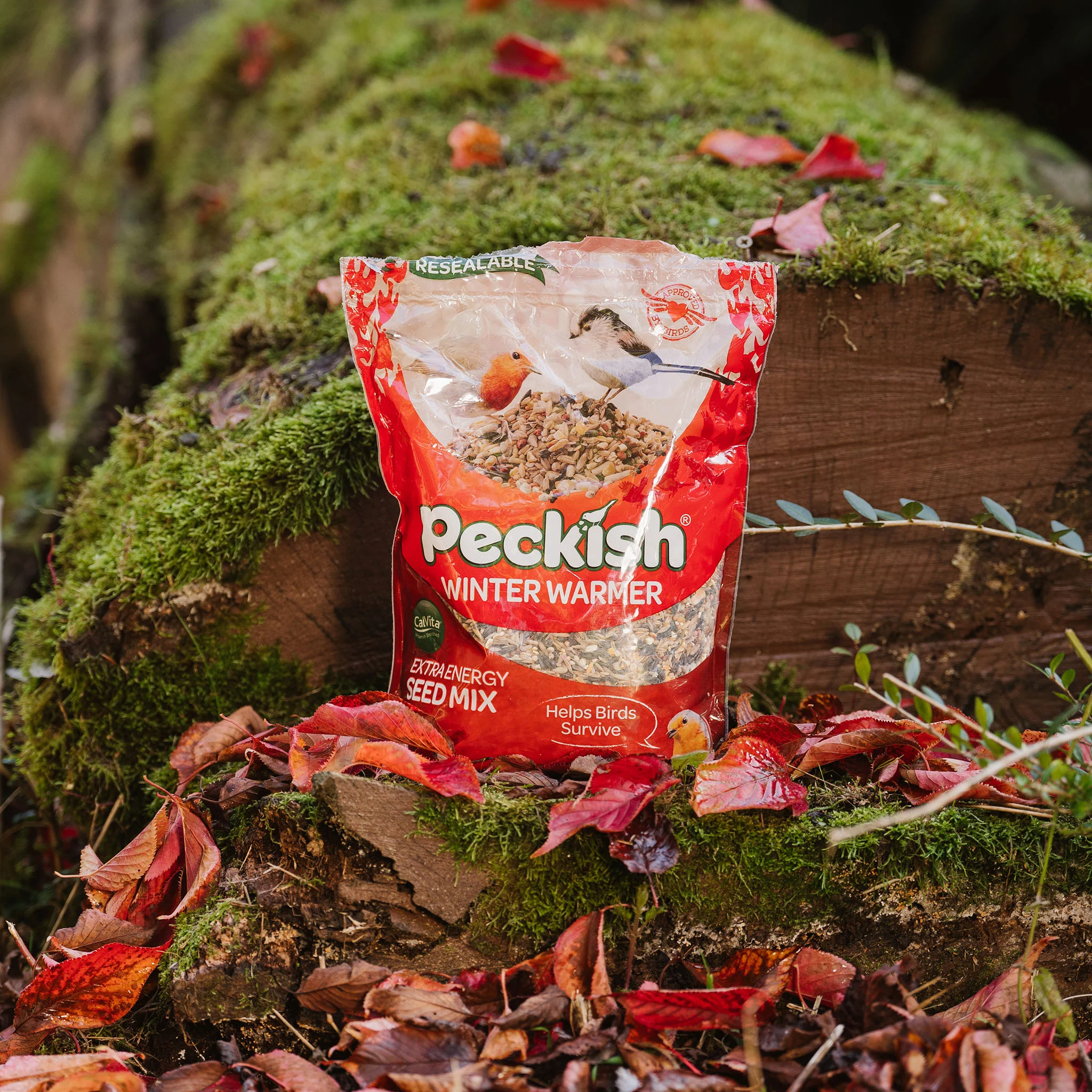 Peckish Winter Warmer Seed Mix - Image 8