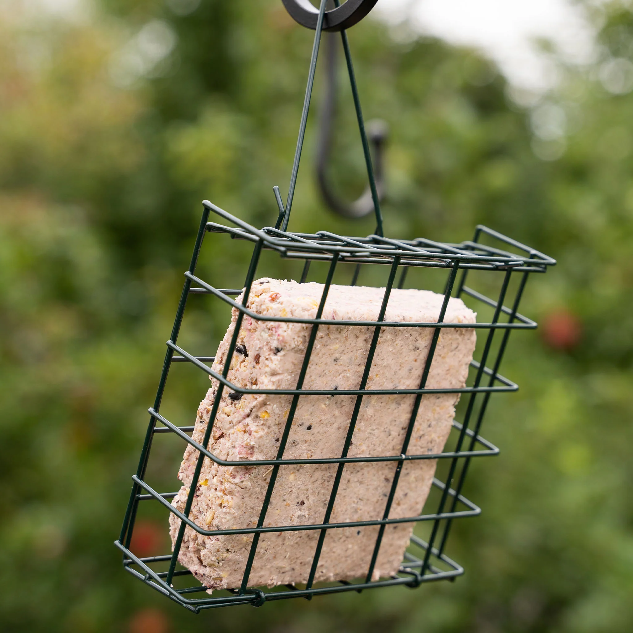 Peckish Winter Warmer Suet Cake - Image 4