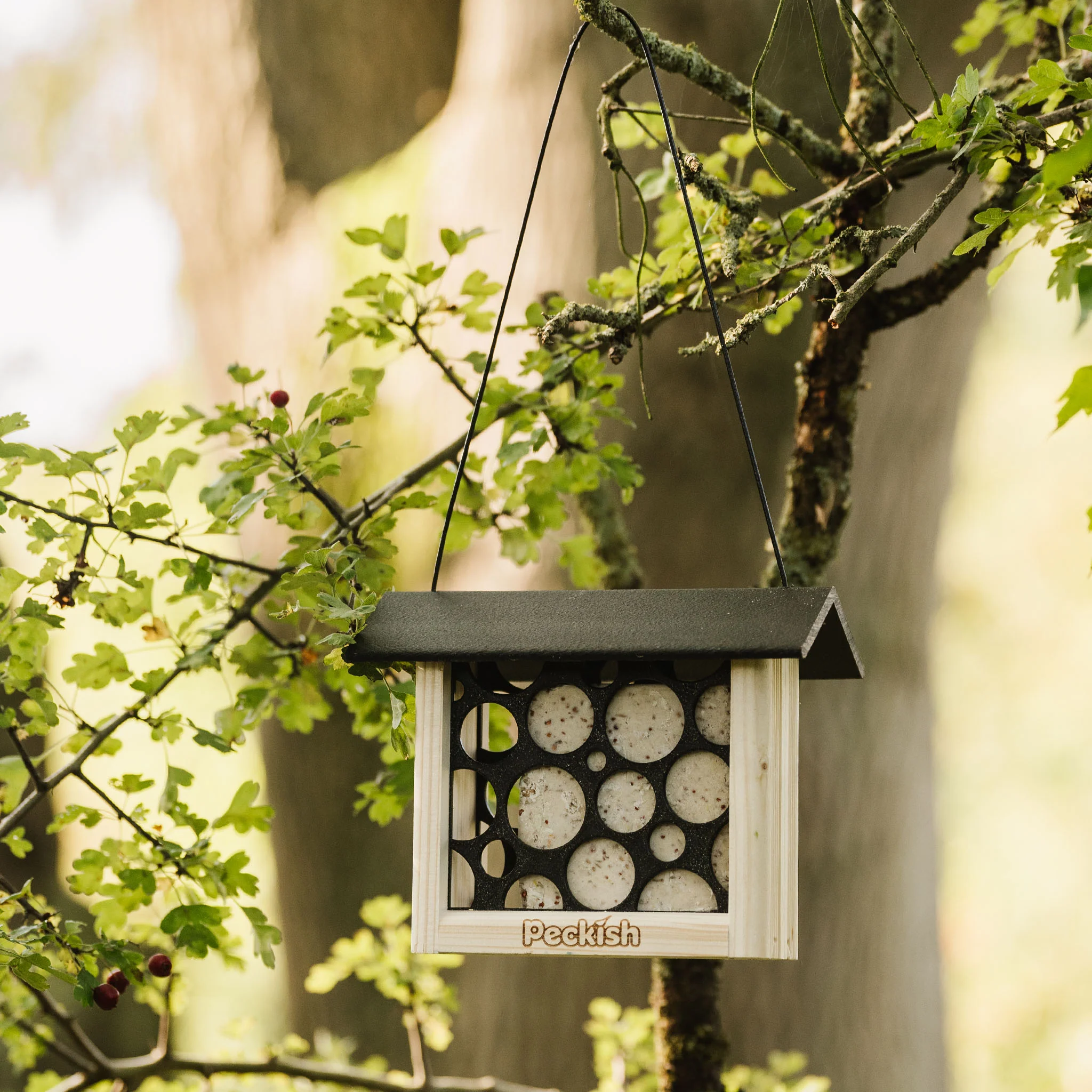 Peckish Woodland Feast Suet Cake Feeder - Image 3