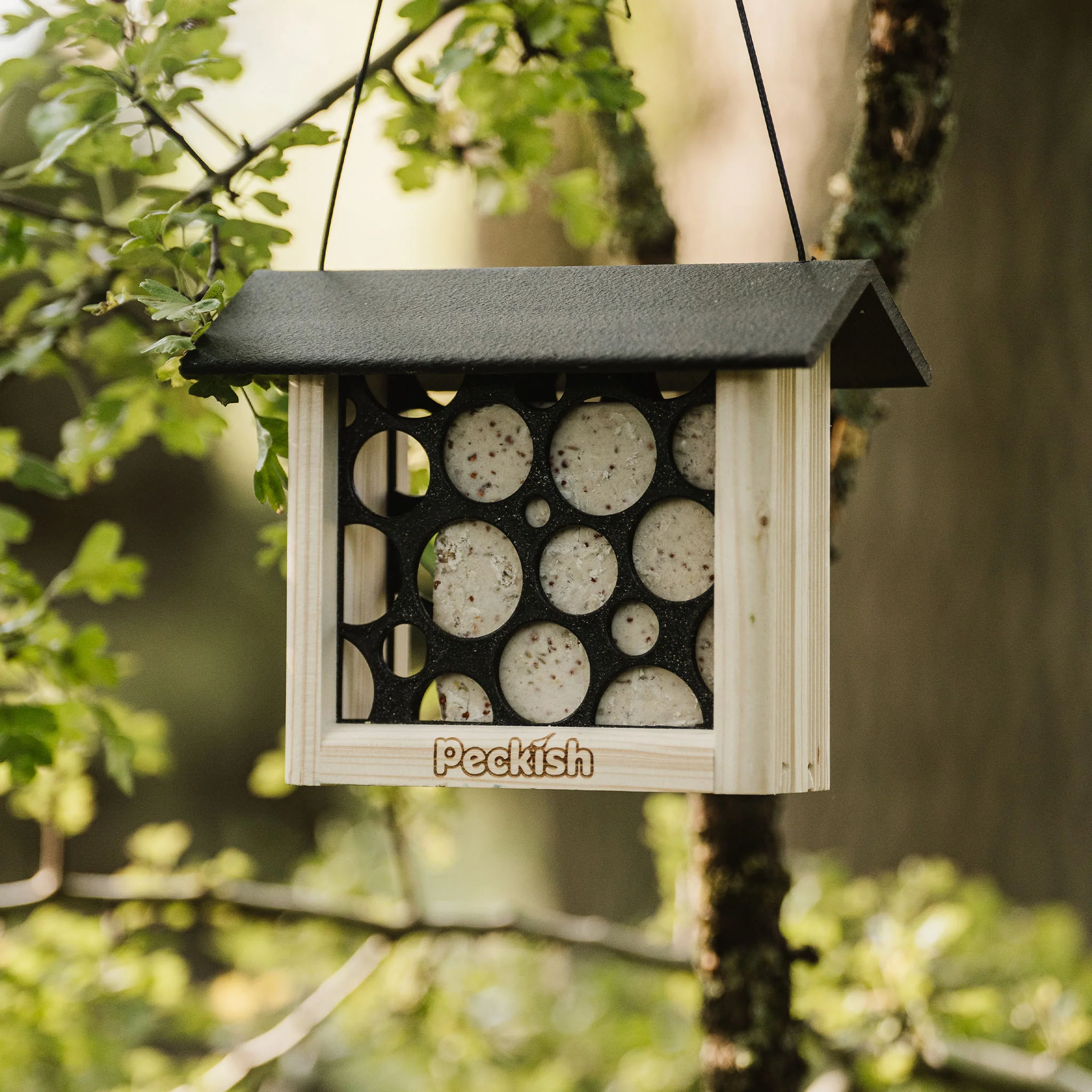 Peckish Woodland Feast Suet Cake Feeder - Image 4